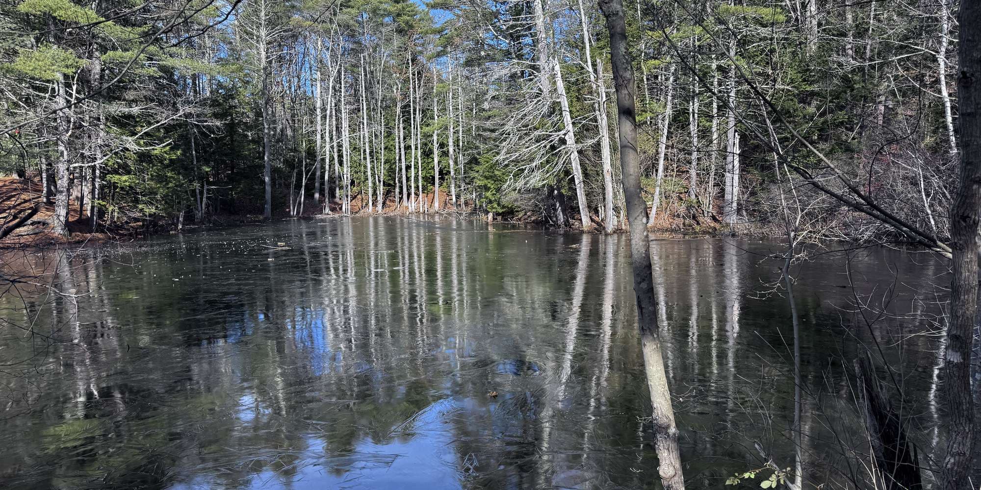 Second image to compare