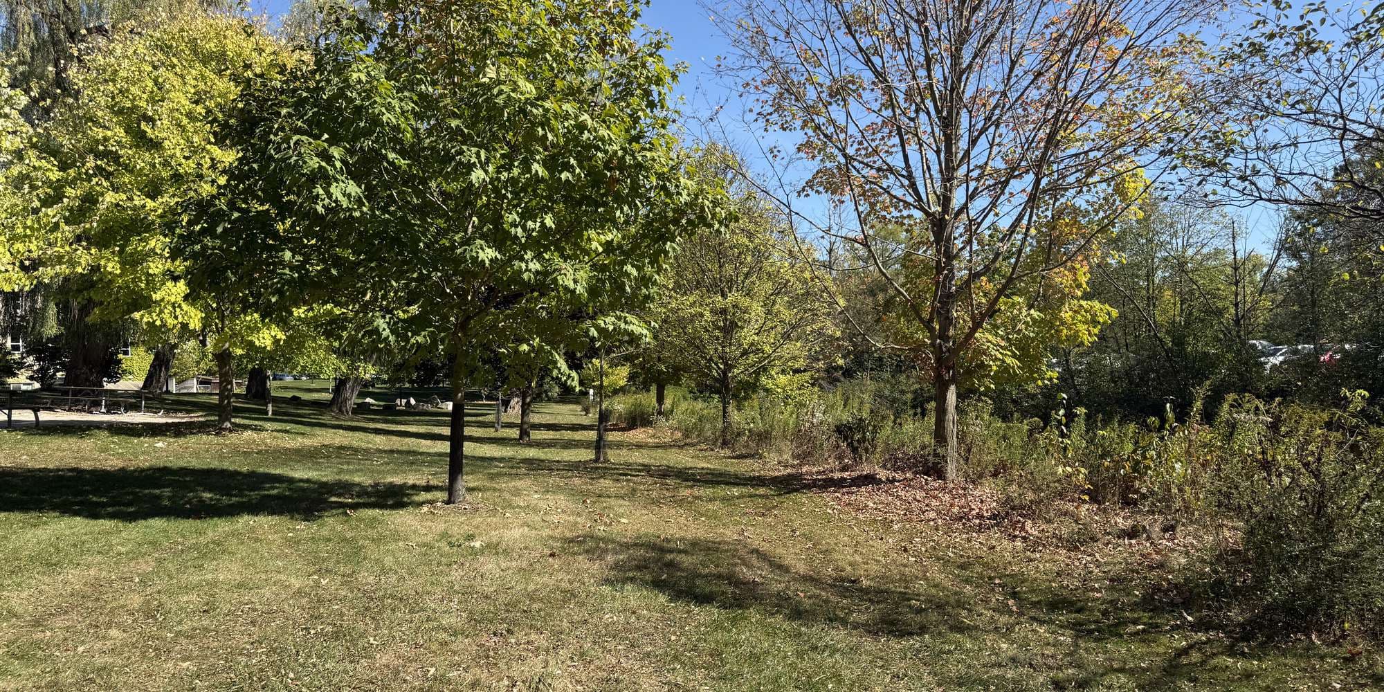 Second image to compare