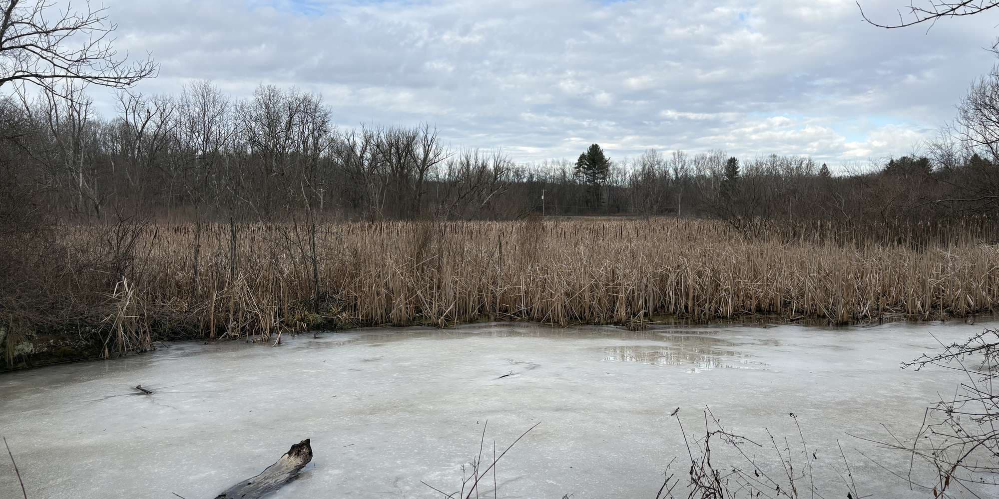 Second image to compare