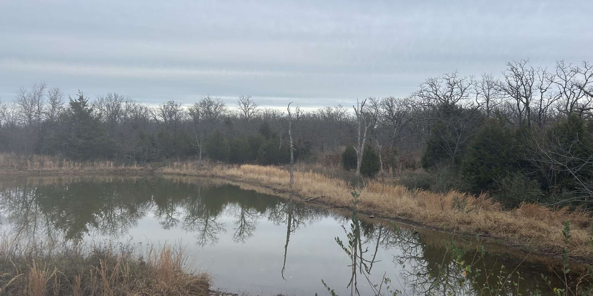 Second image to compare