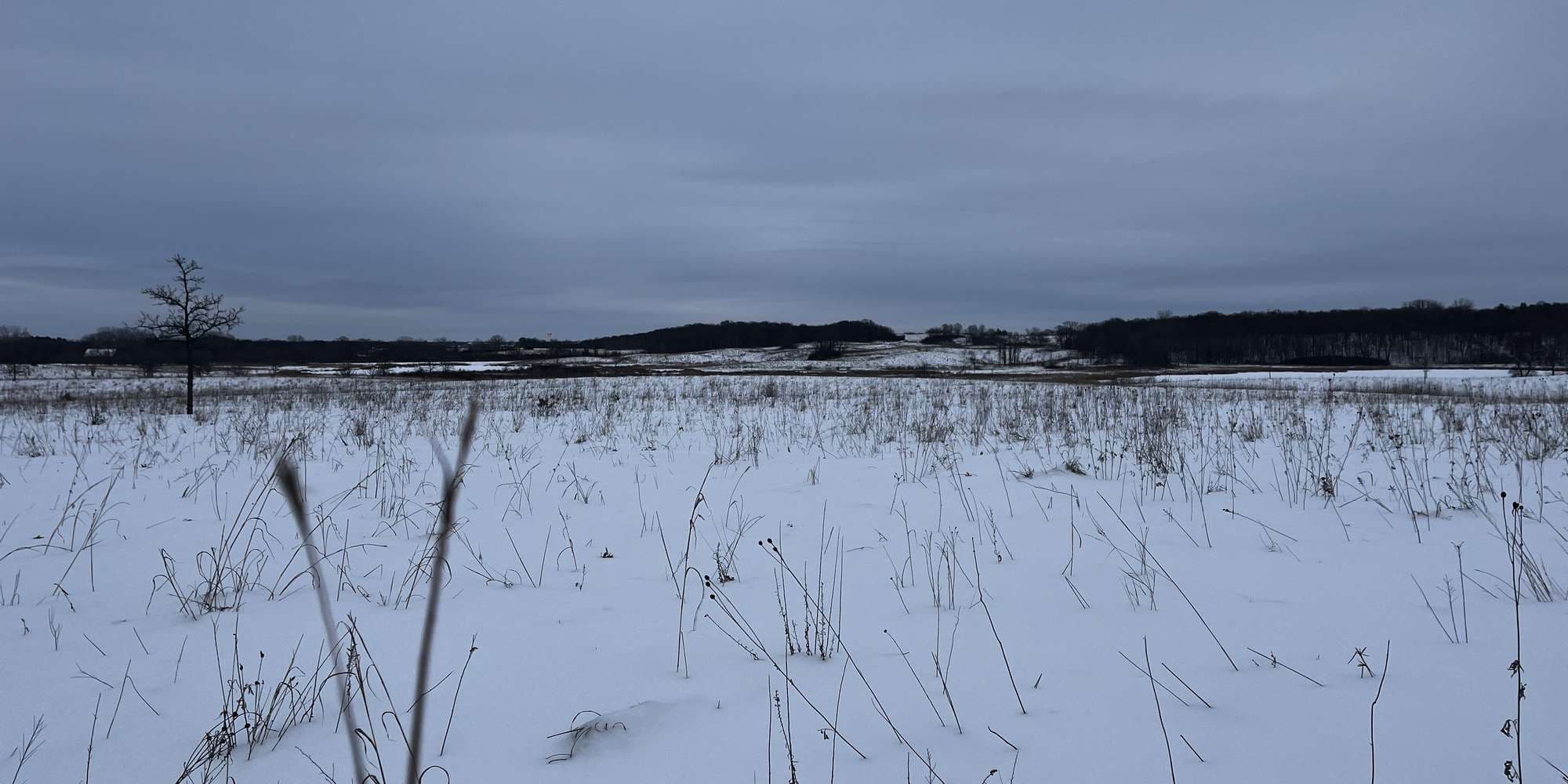 Second image to compare