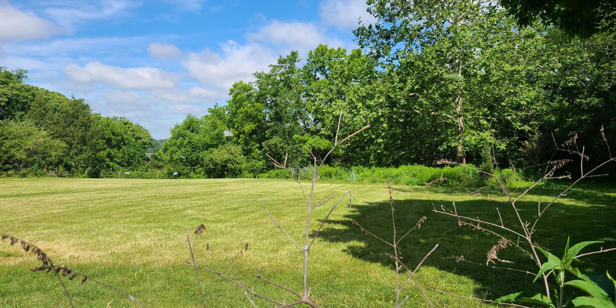 Second image to compare