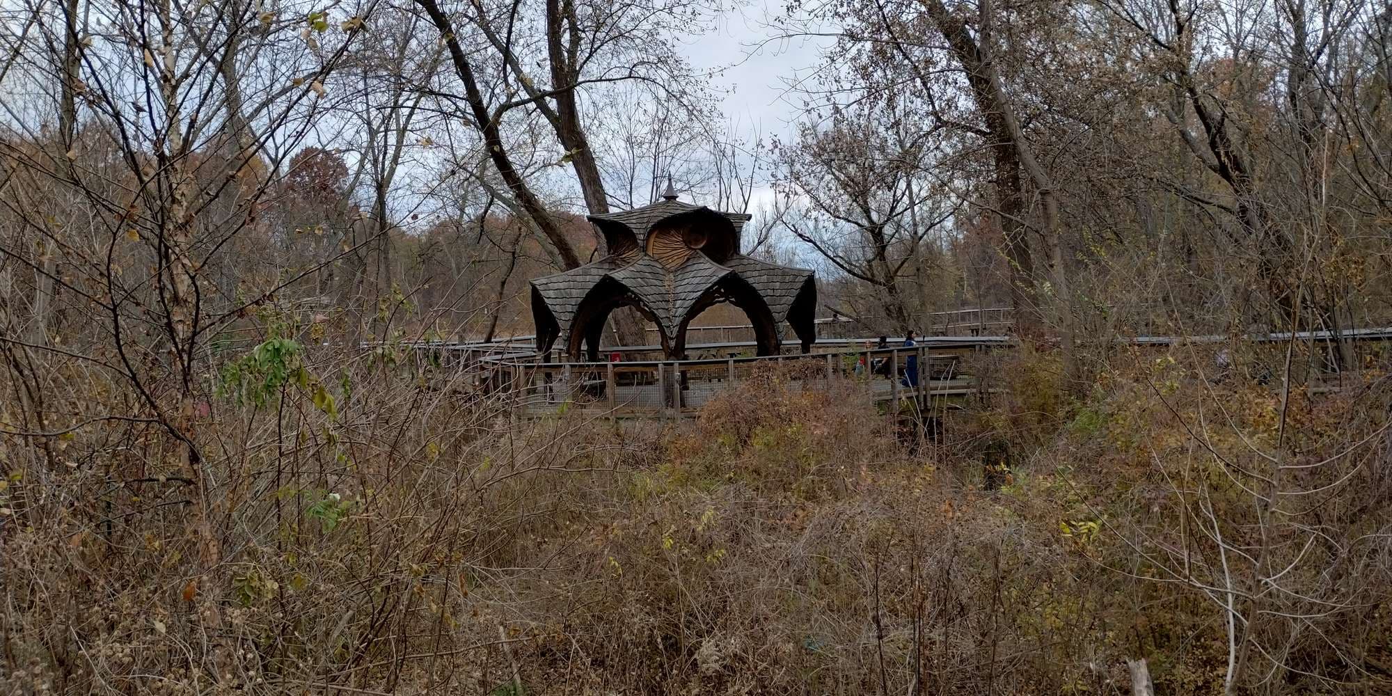 Second image to compare