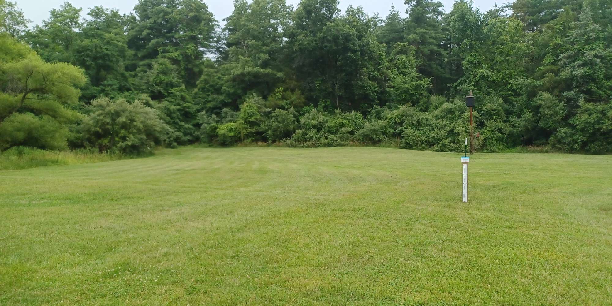 First image to compare