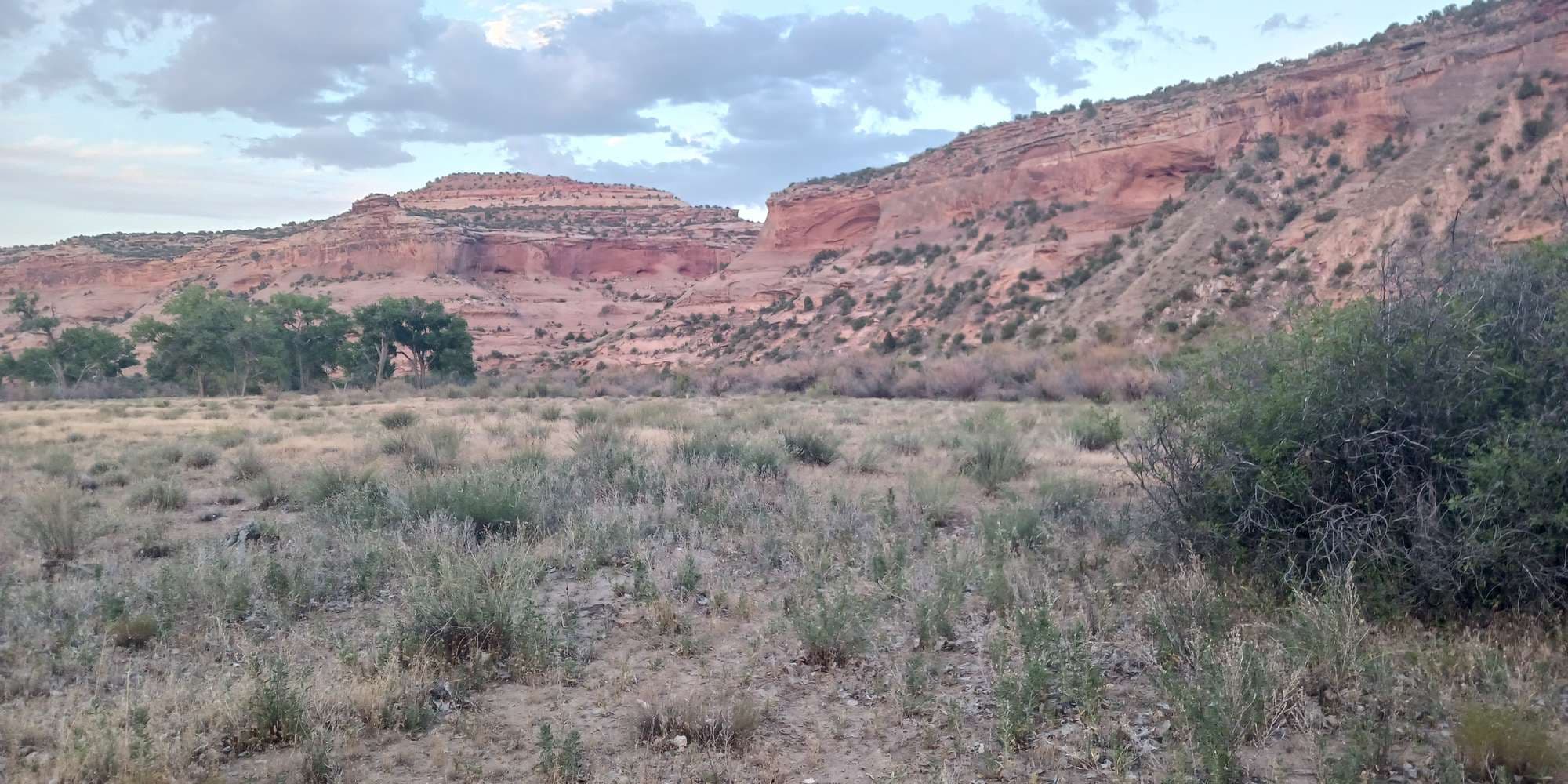 Second image to compare