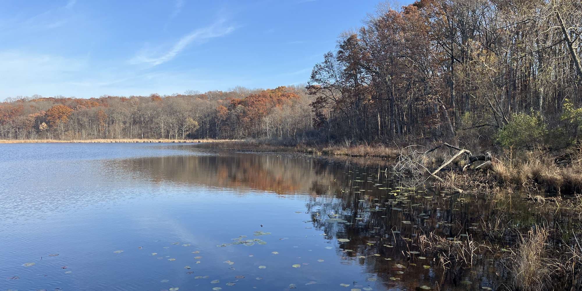 First image to compare