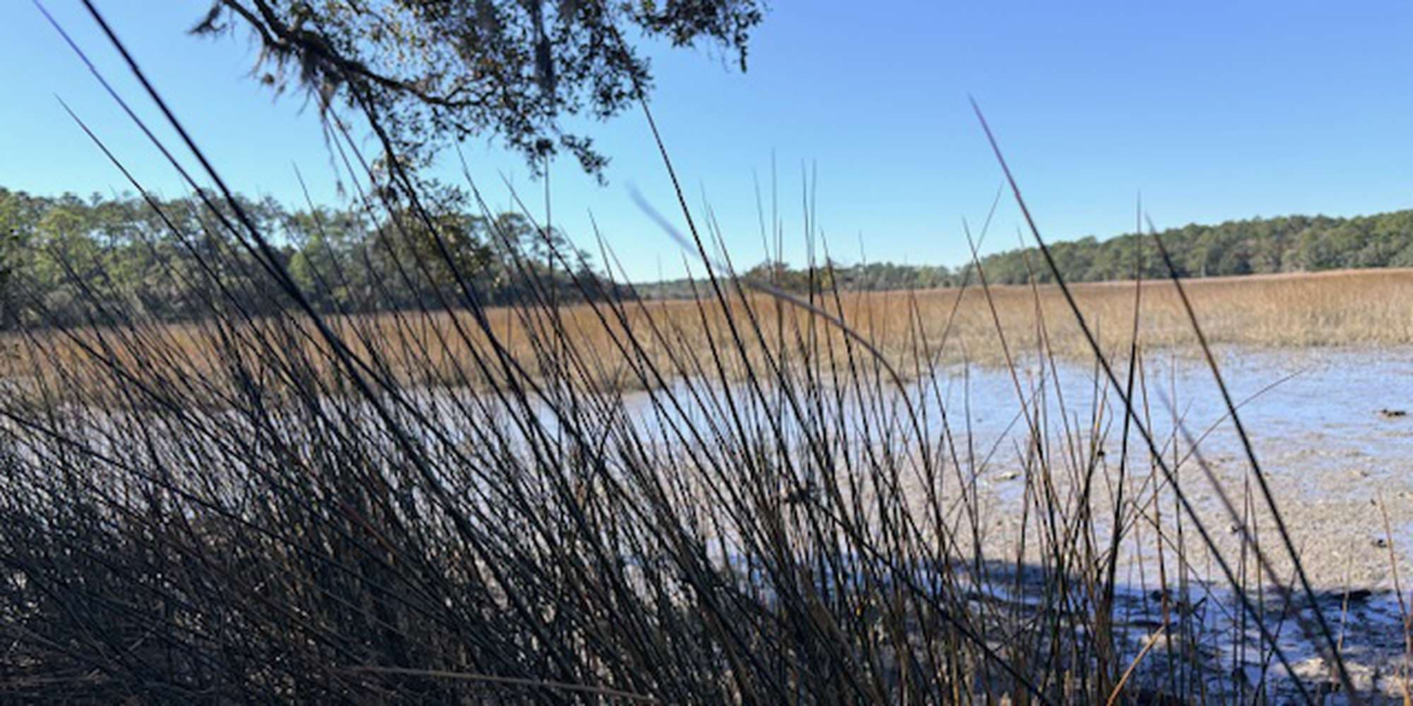 Second image to compare