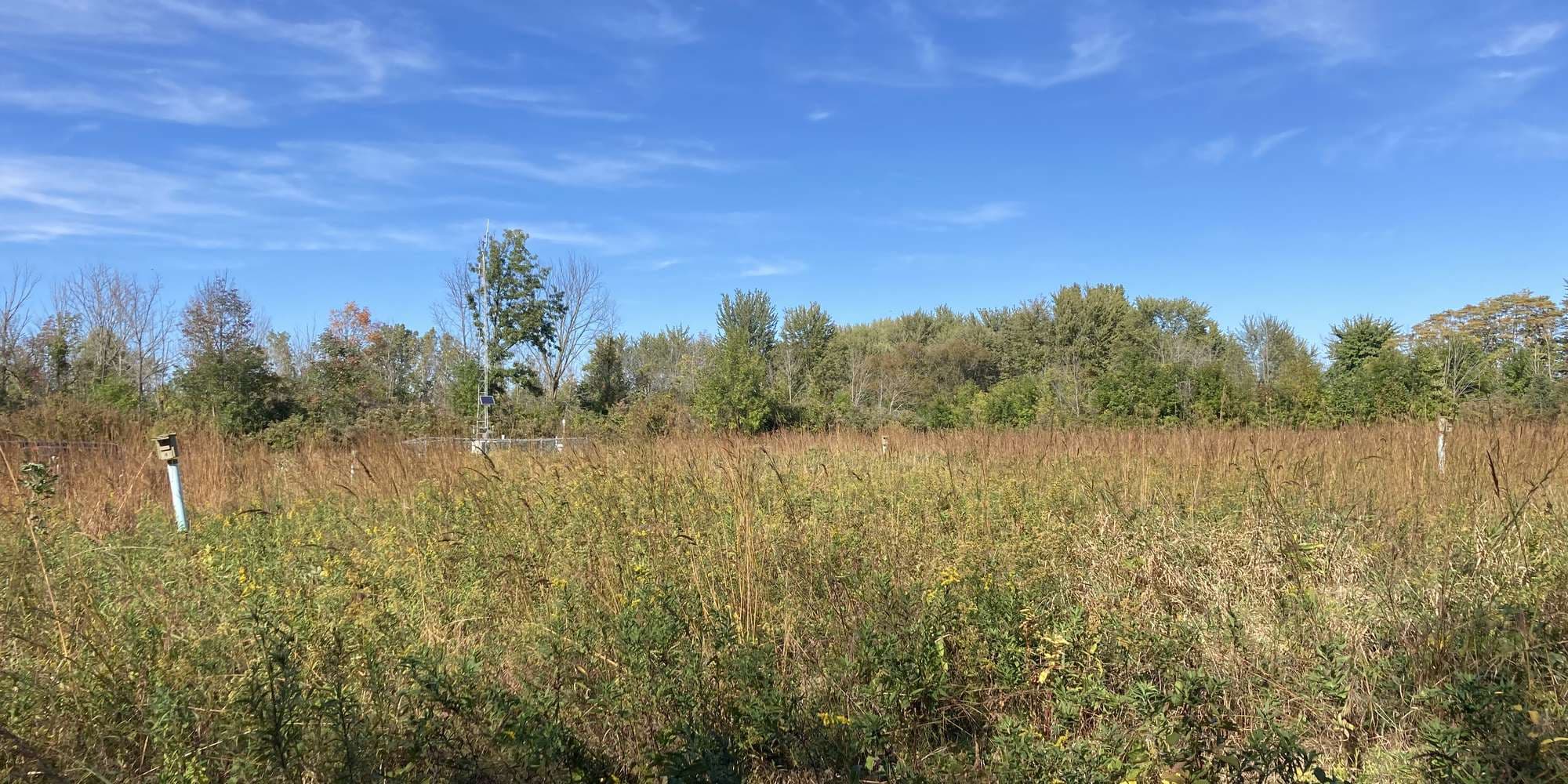 First image to compare