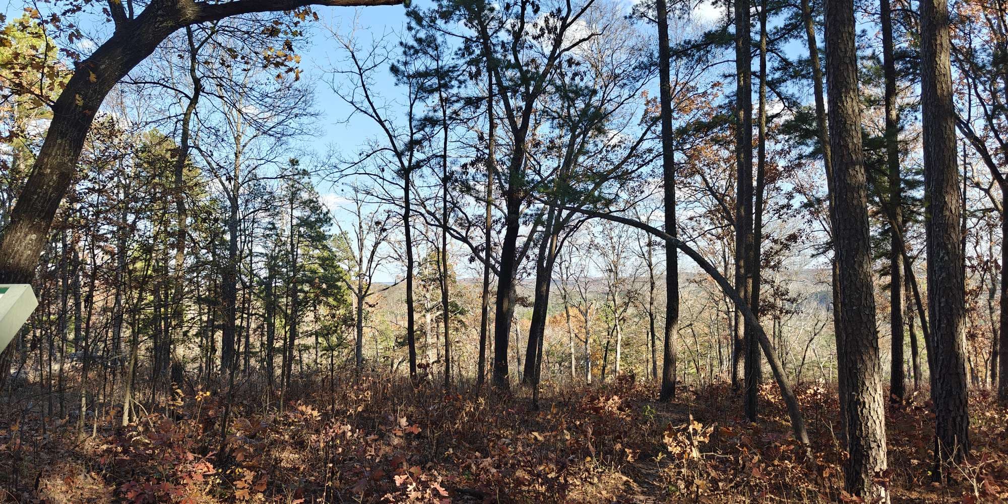 Second image to compare