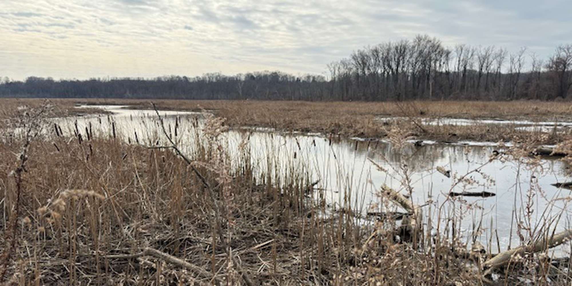 Second image to compare