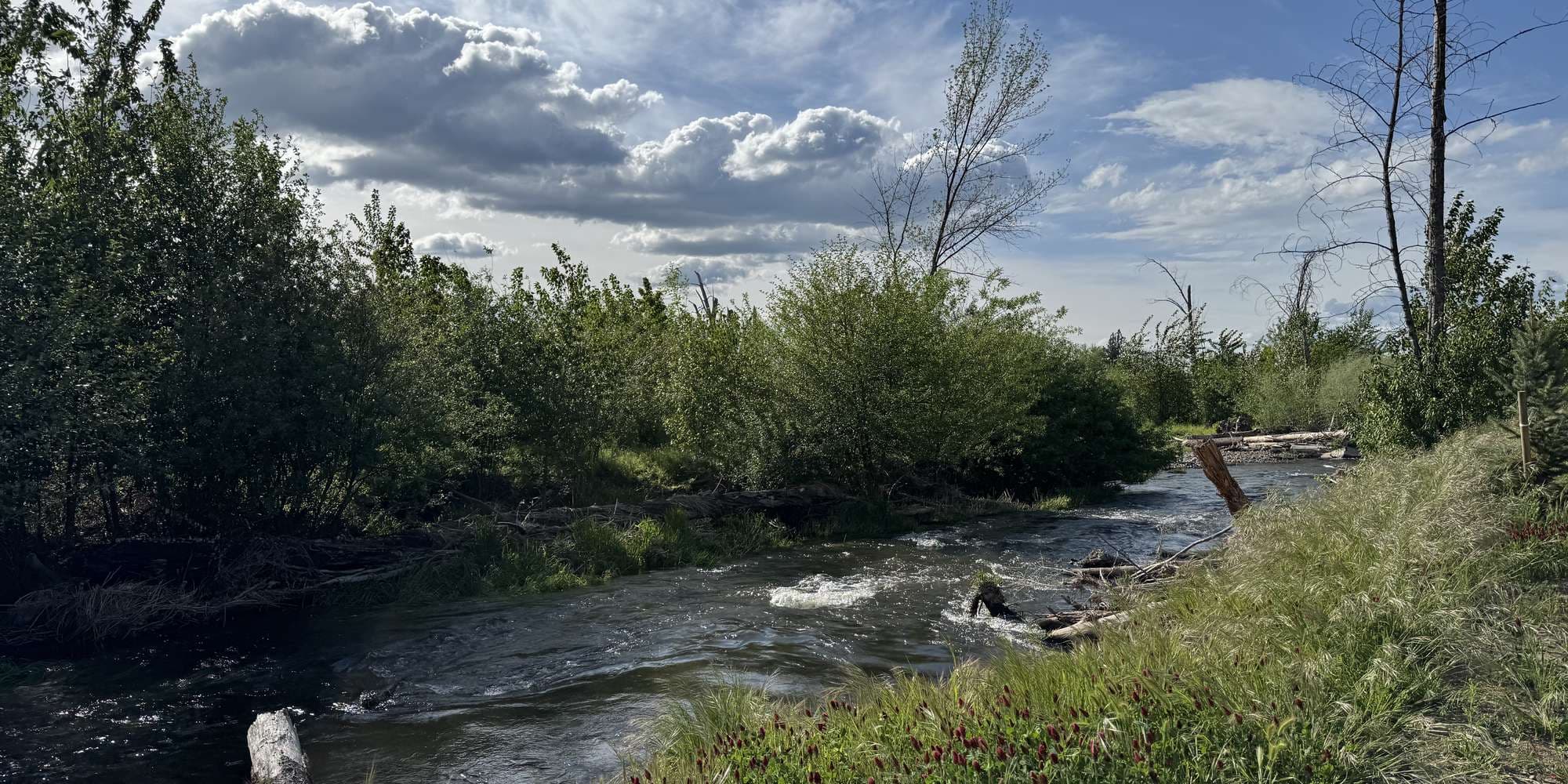 First image to compare