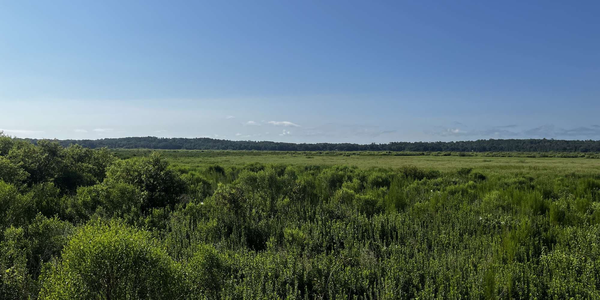 First image to compare