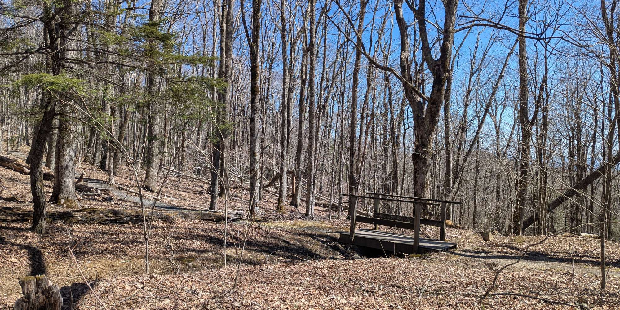 First image to compare