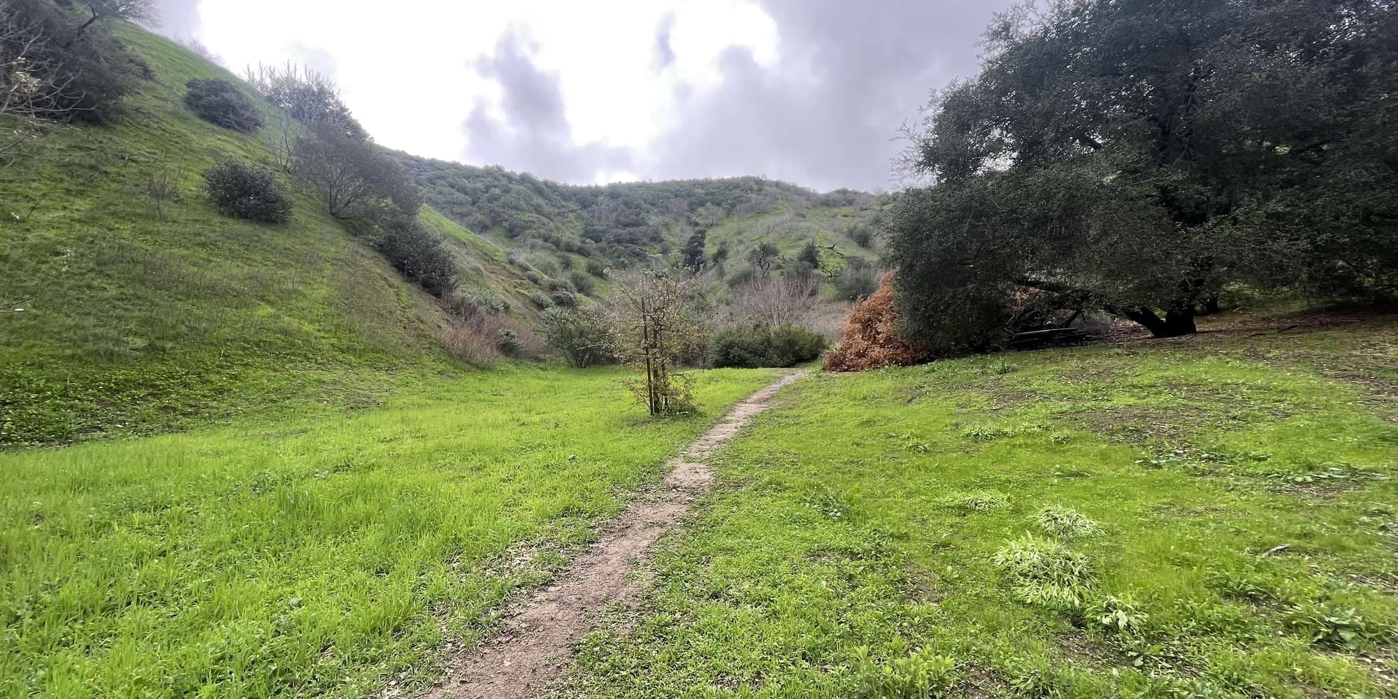 Second image to compare