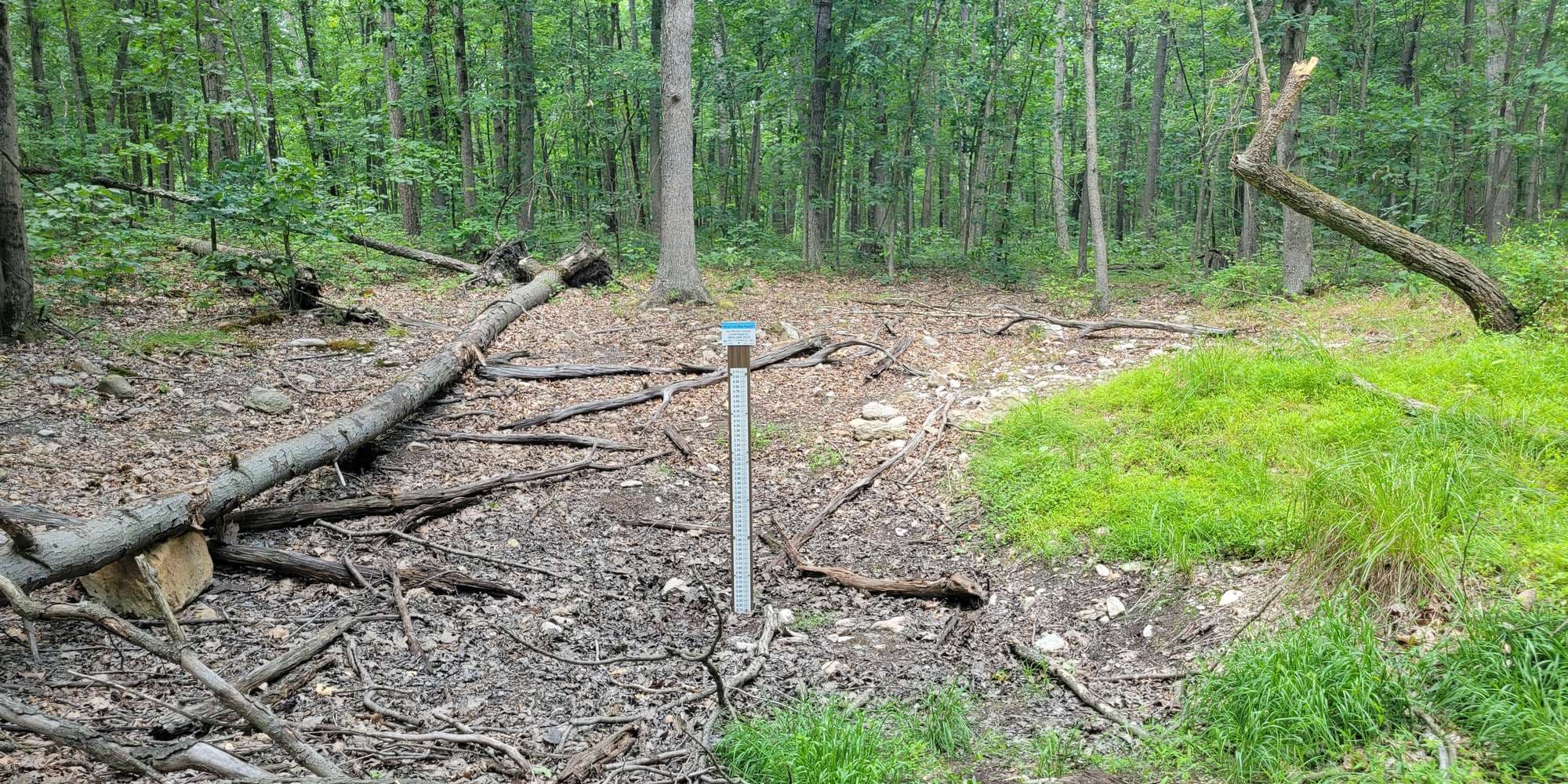 First image to compare