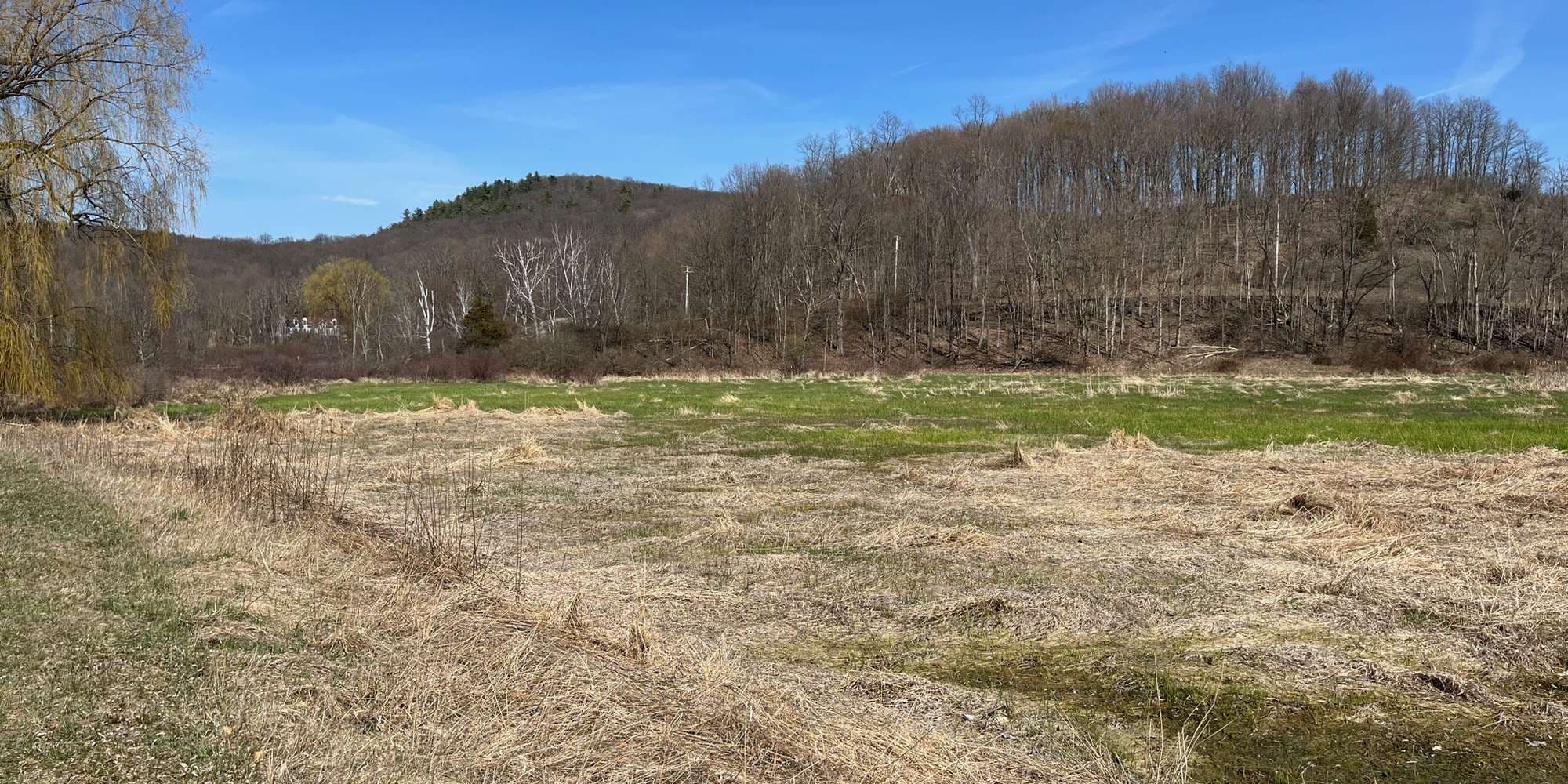 First image to compare