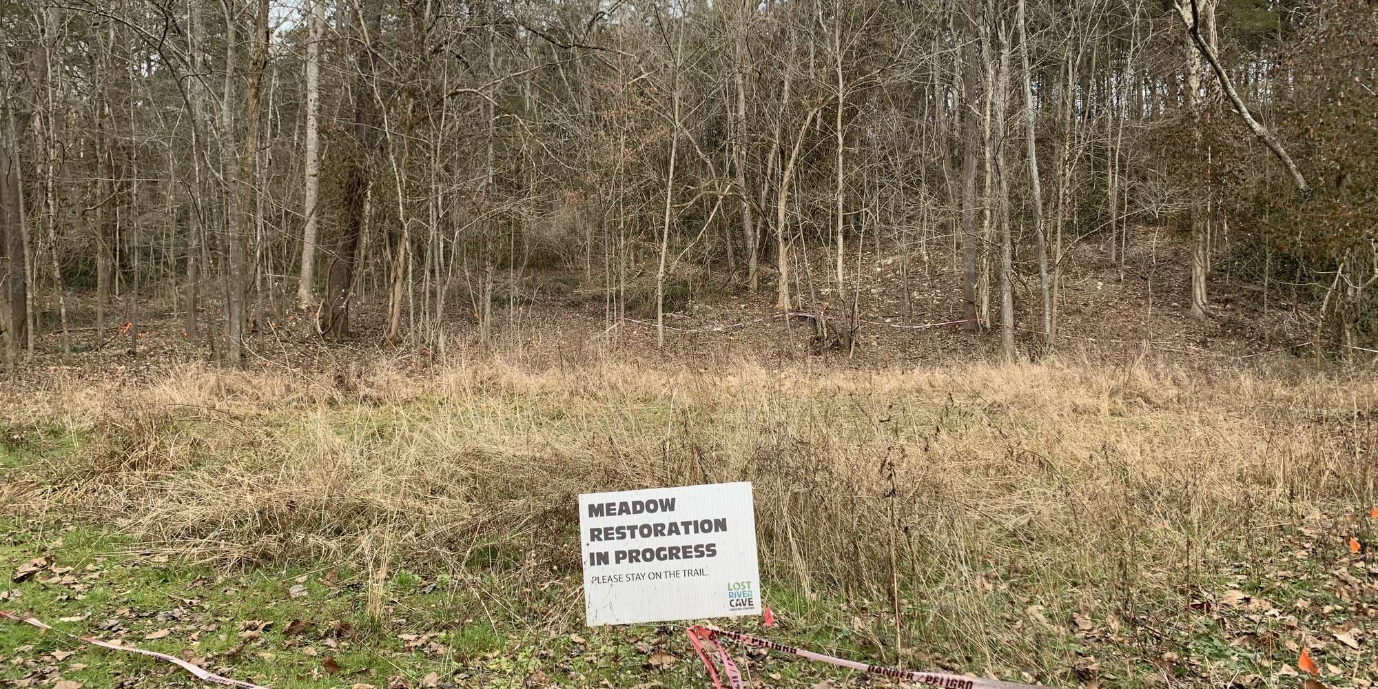 First image to compare