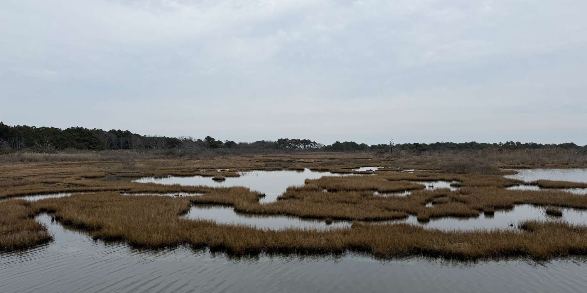 Second image to compare