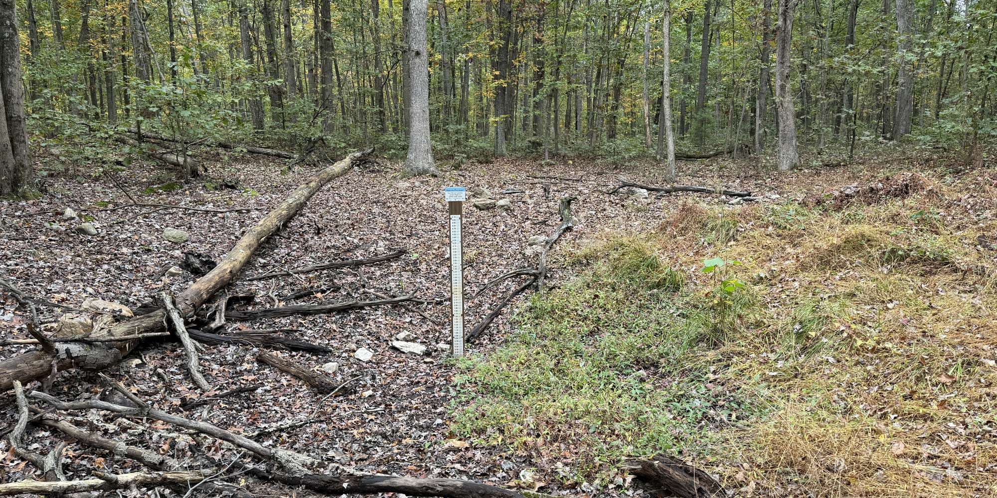 Second image to compare