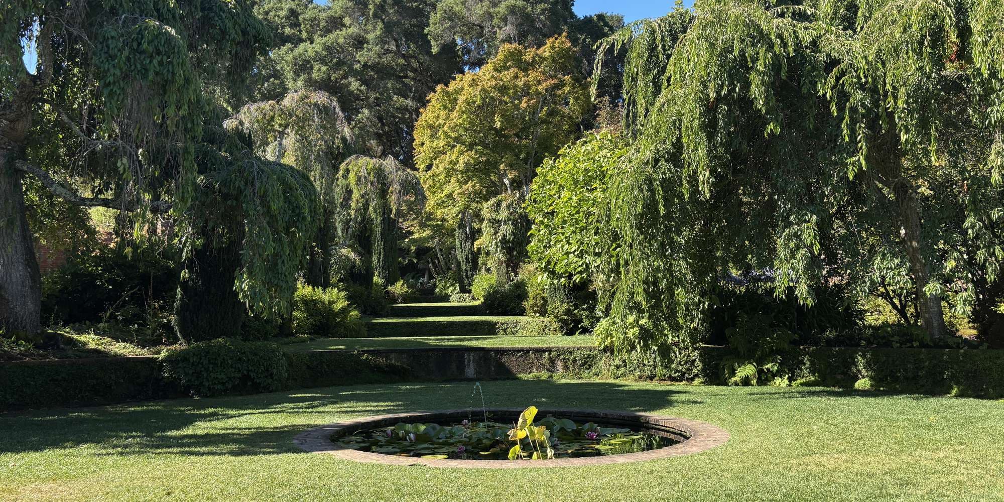 First image to compare