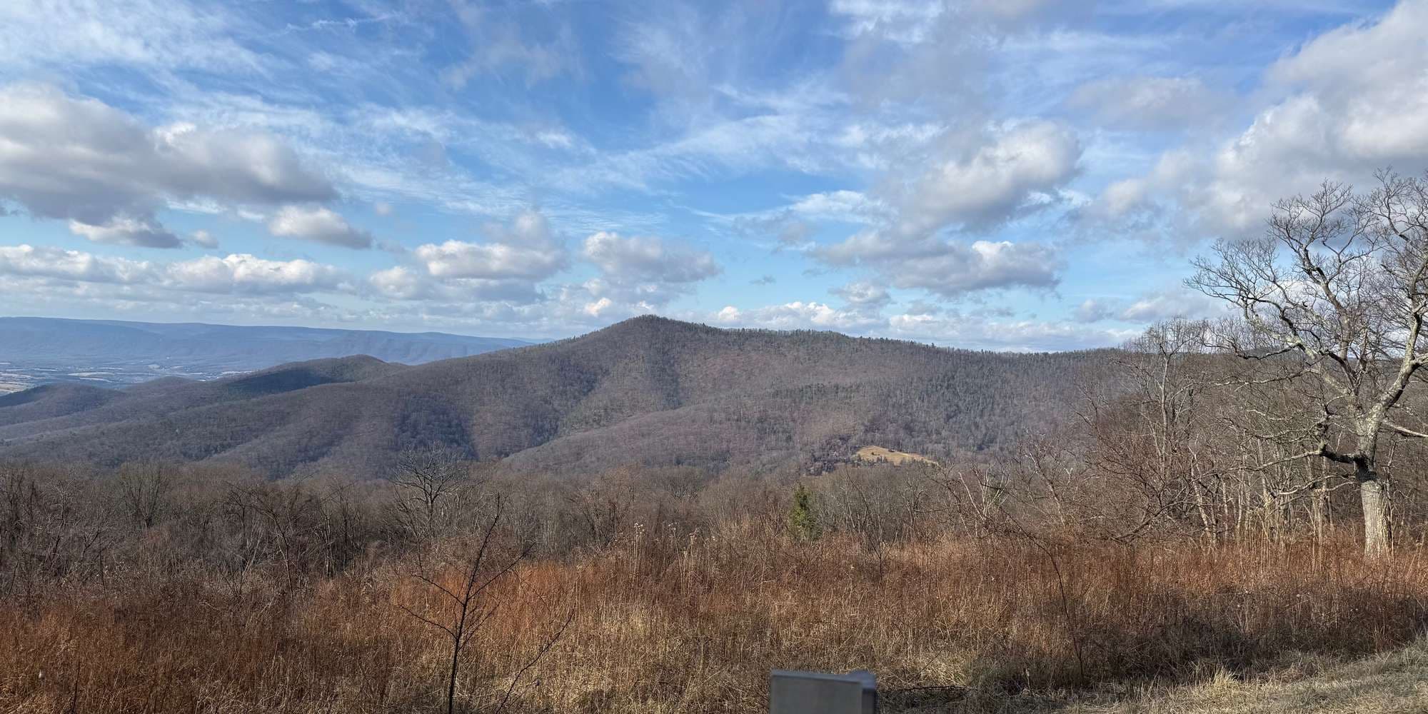 Second image to compare