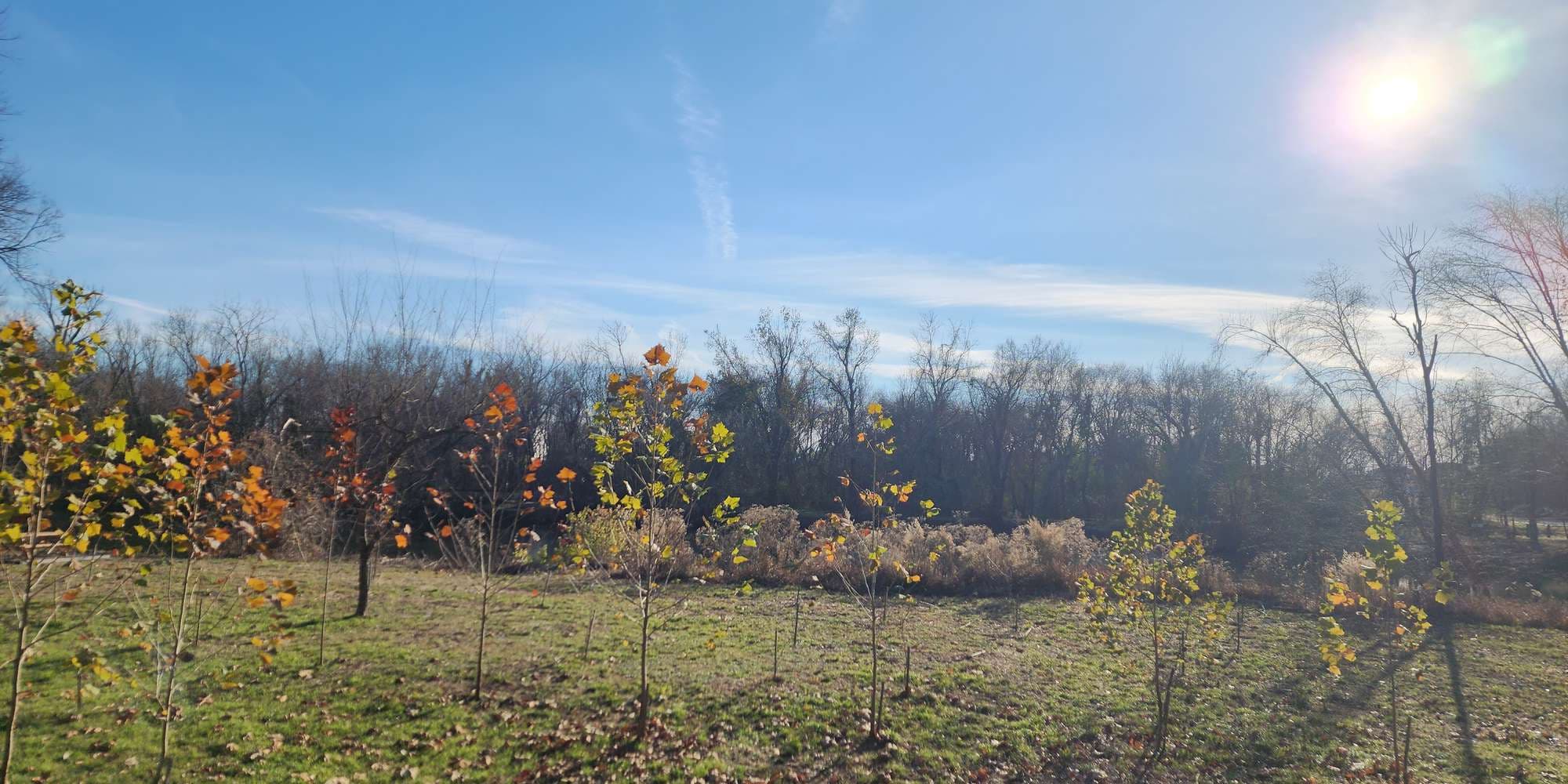 Second image to compare