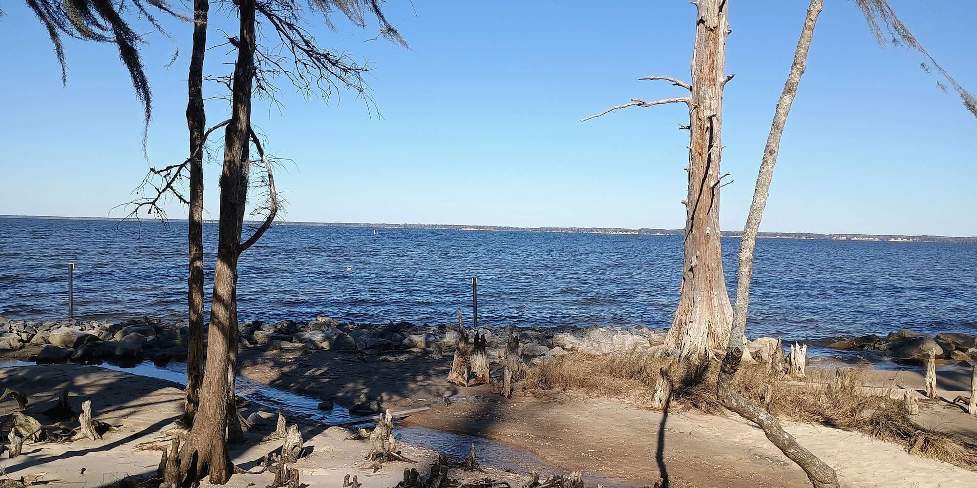 Second image to compare