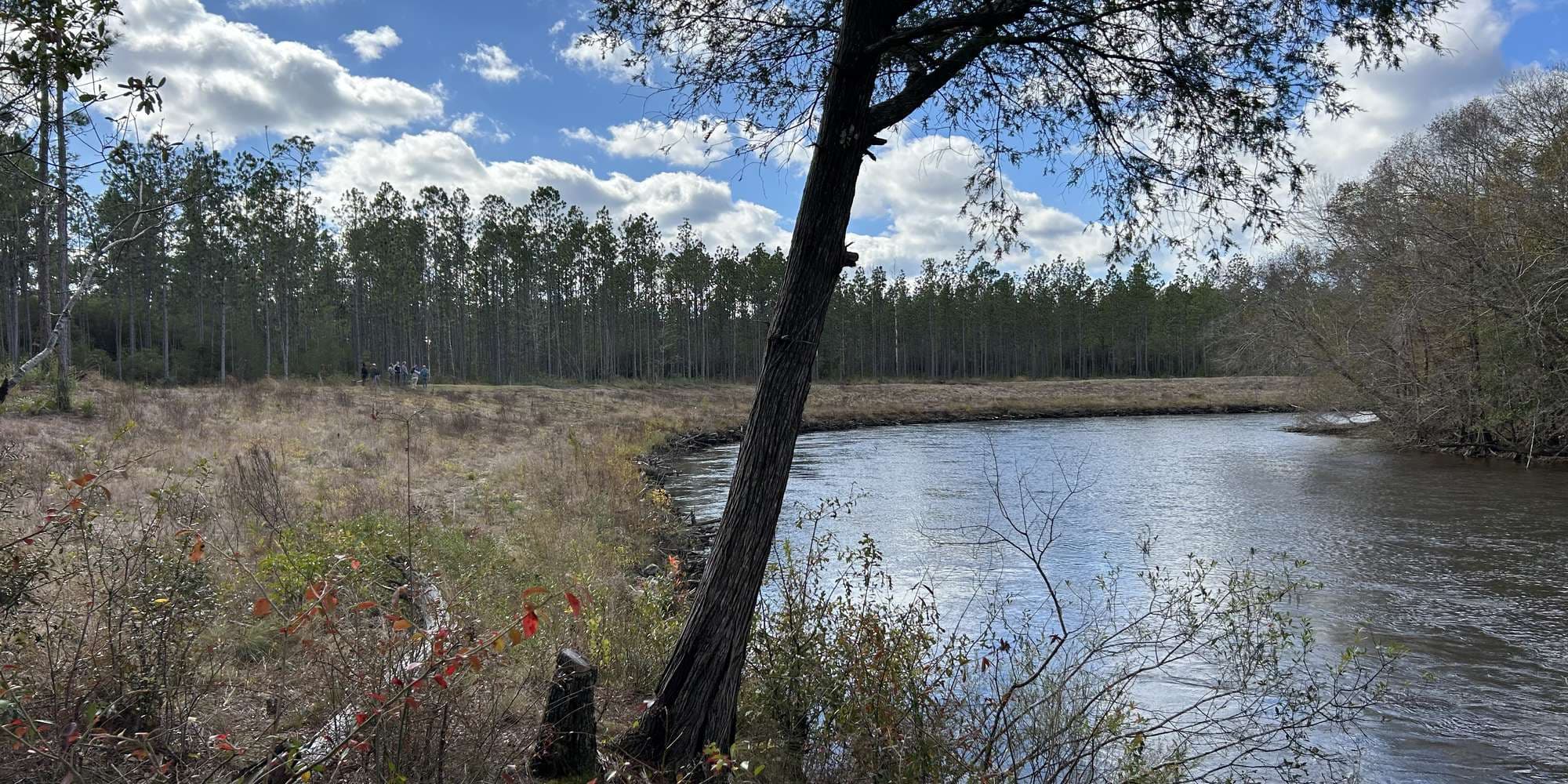 Second image to compare