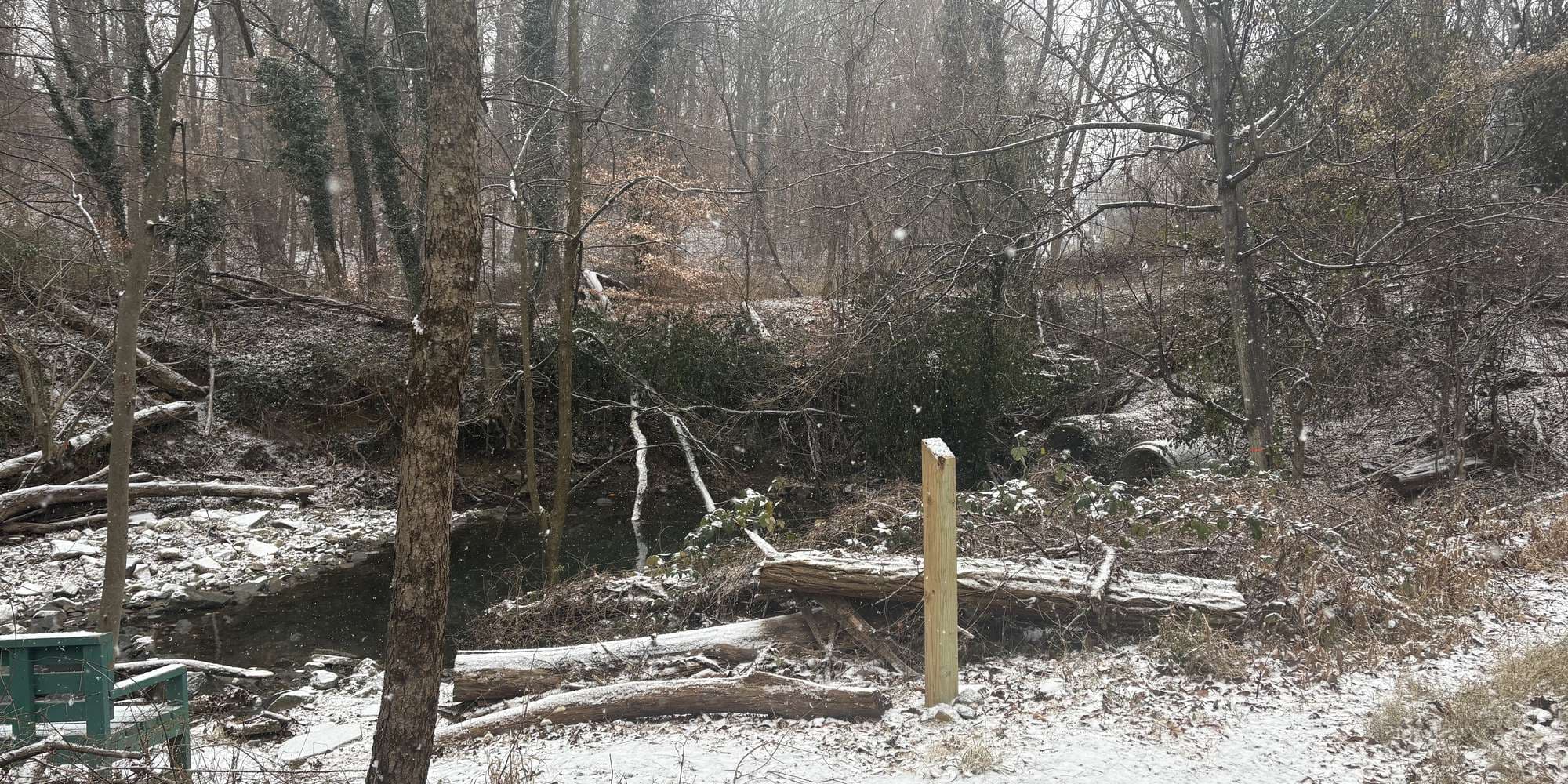 Second image to compare