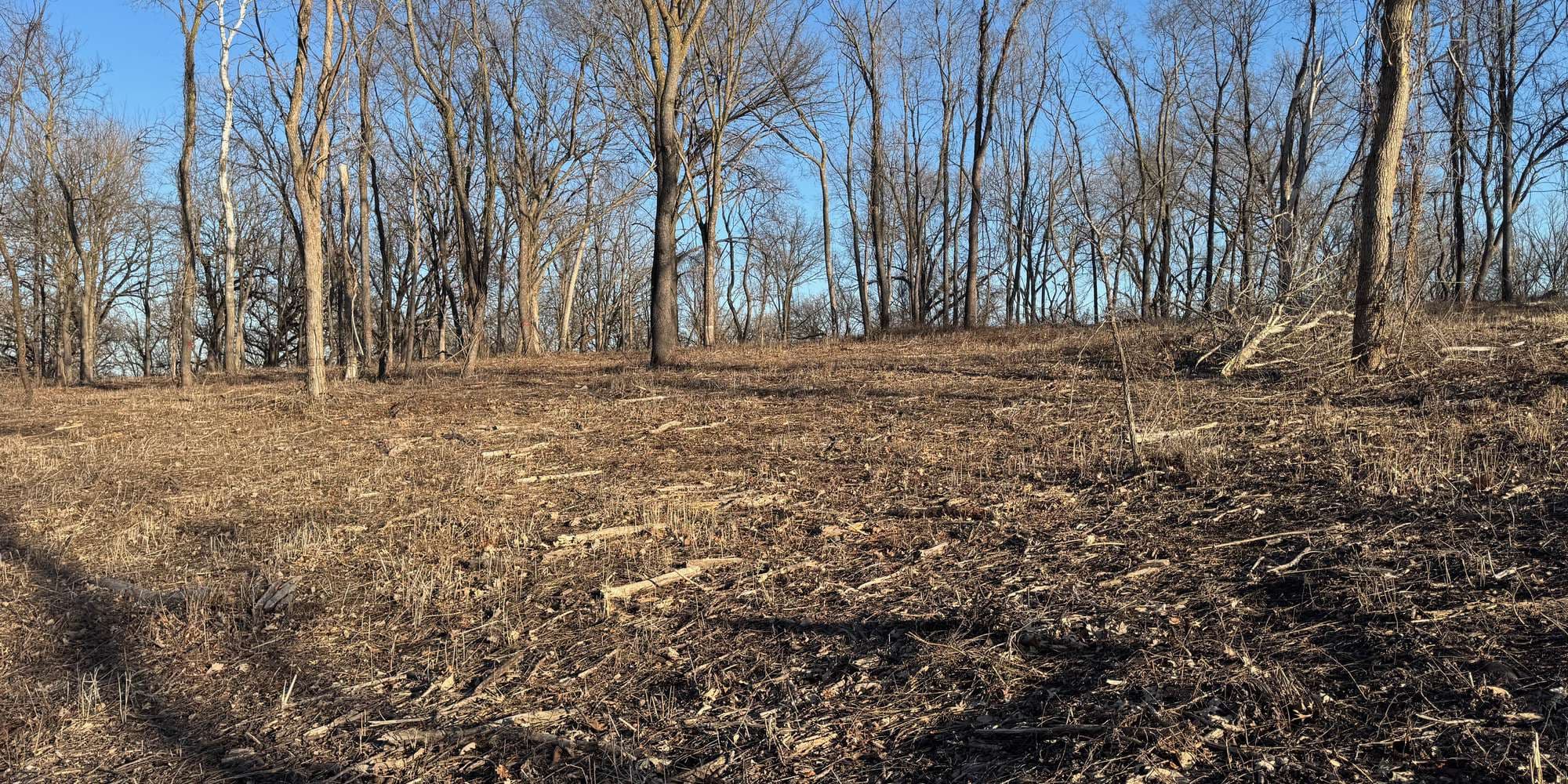 Second image to compare