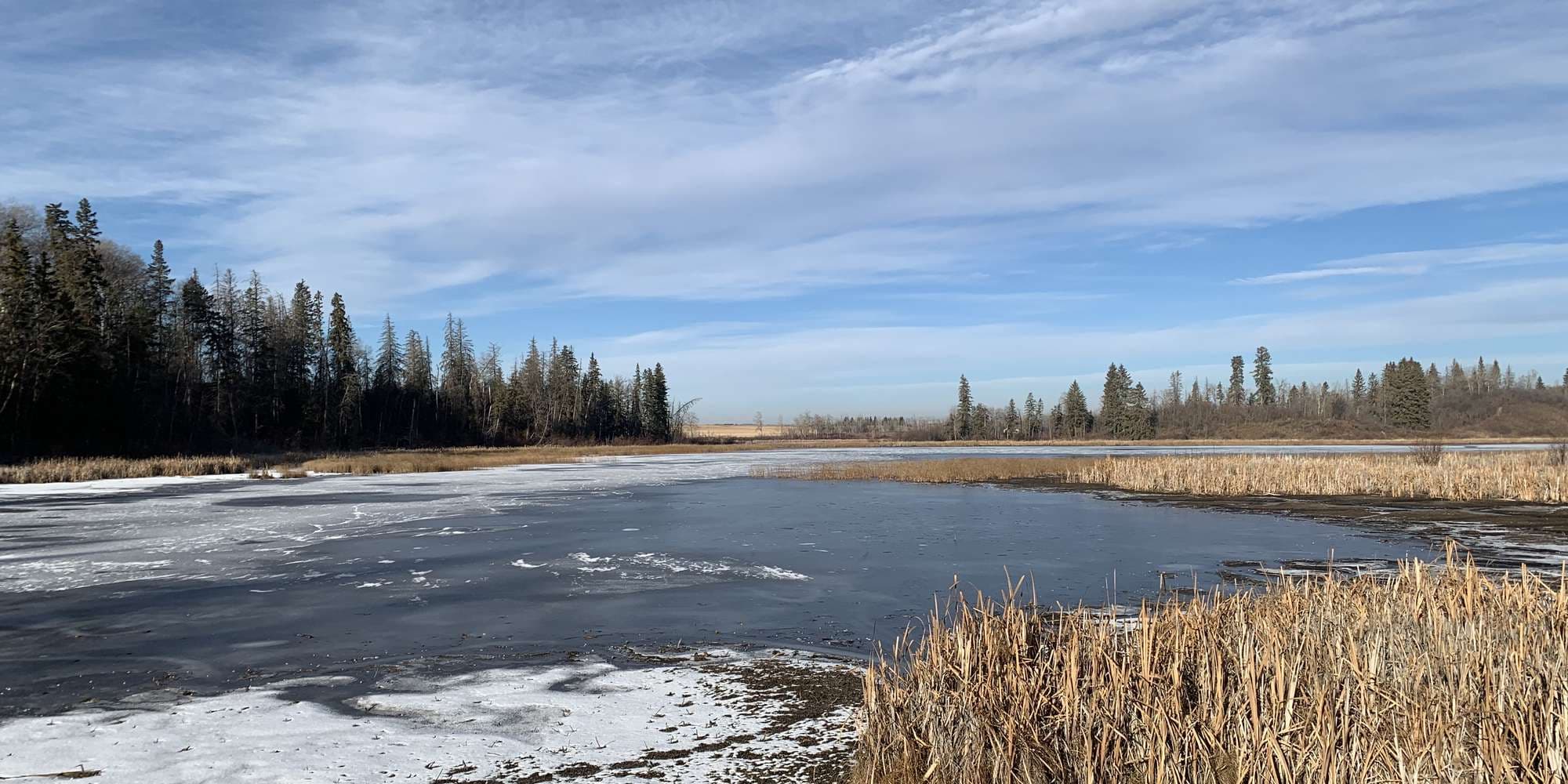 Second image to compare