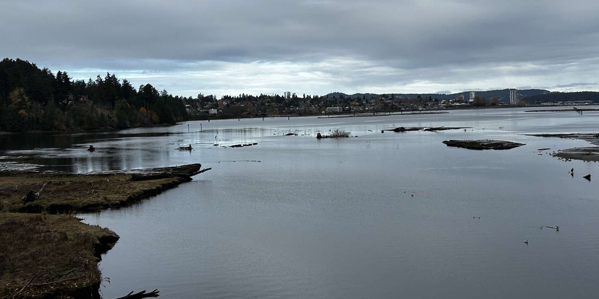 Second image to compare