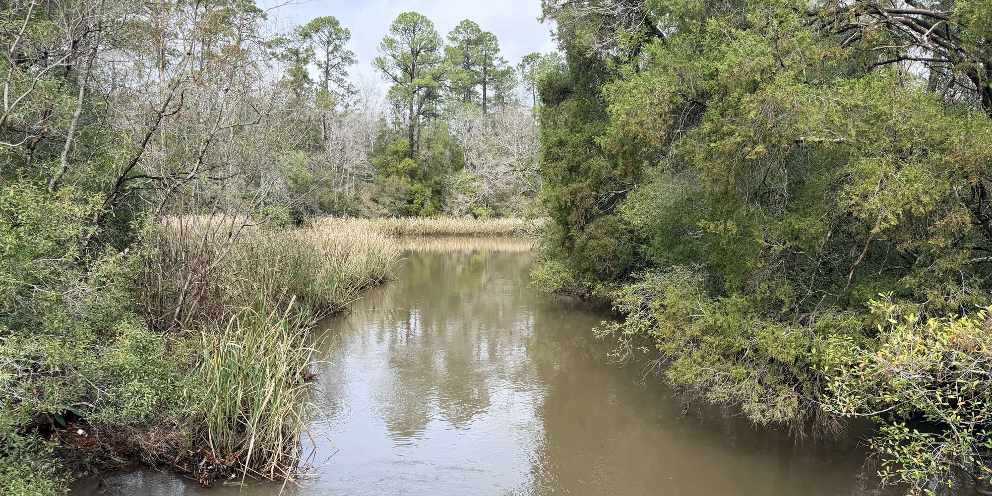 Second image to compare