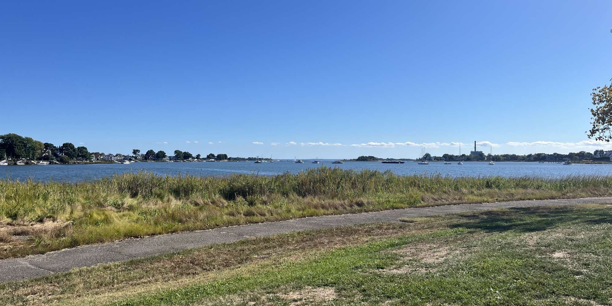 Second image to compare