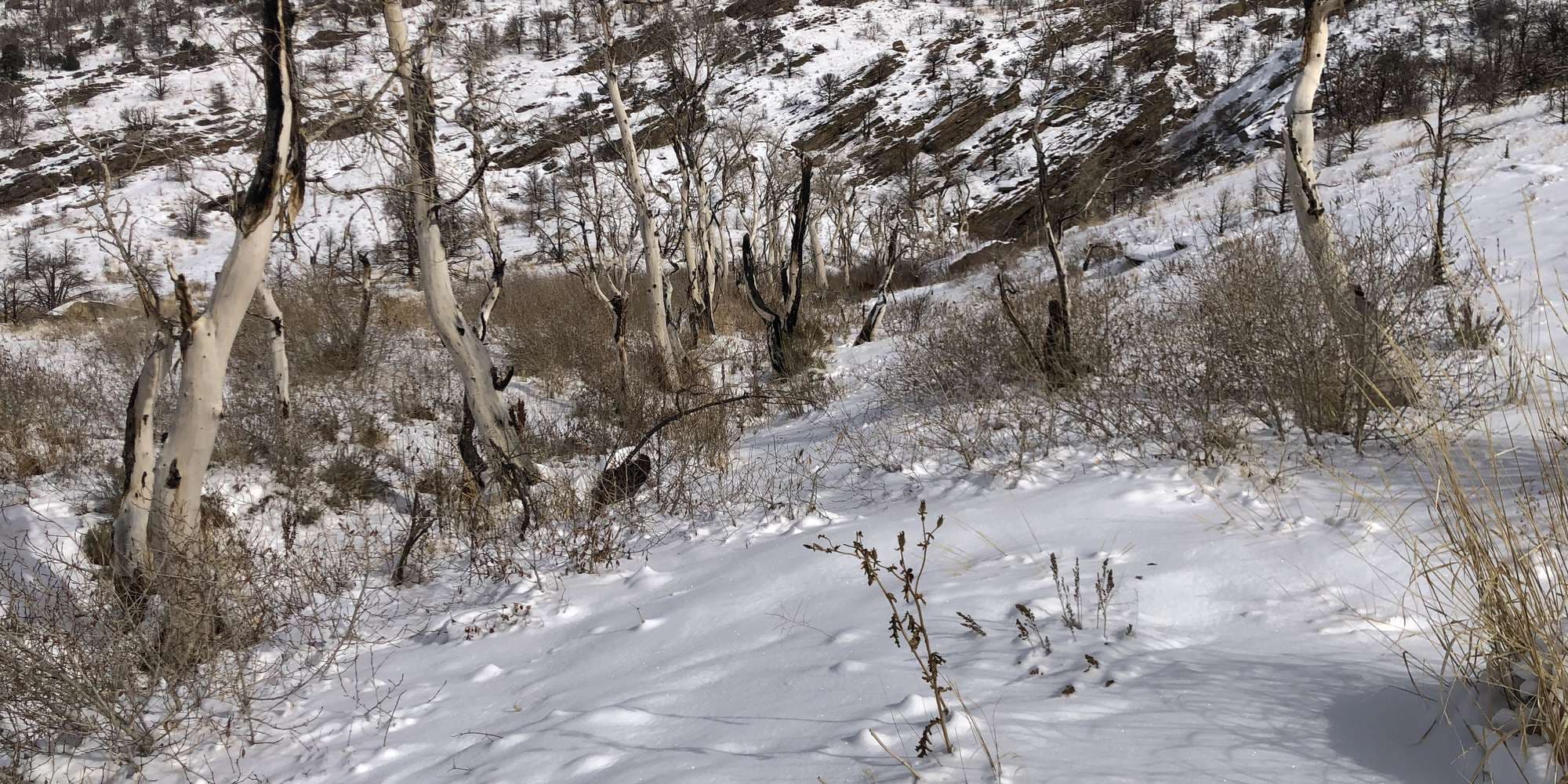 First image to compare