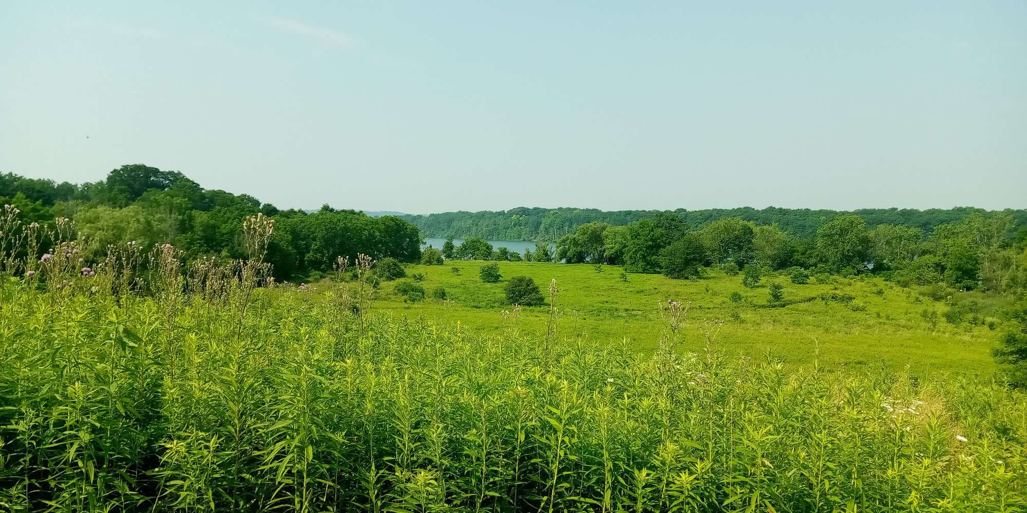 Second image to compare