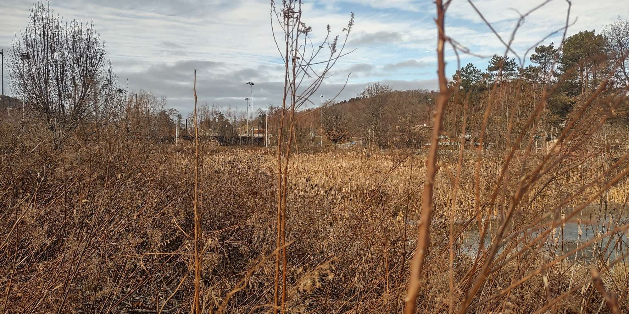 Second image to compare