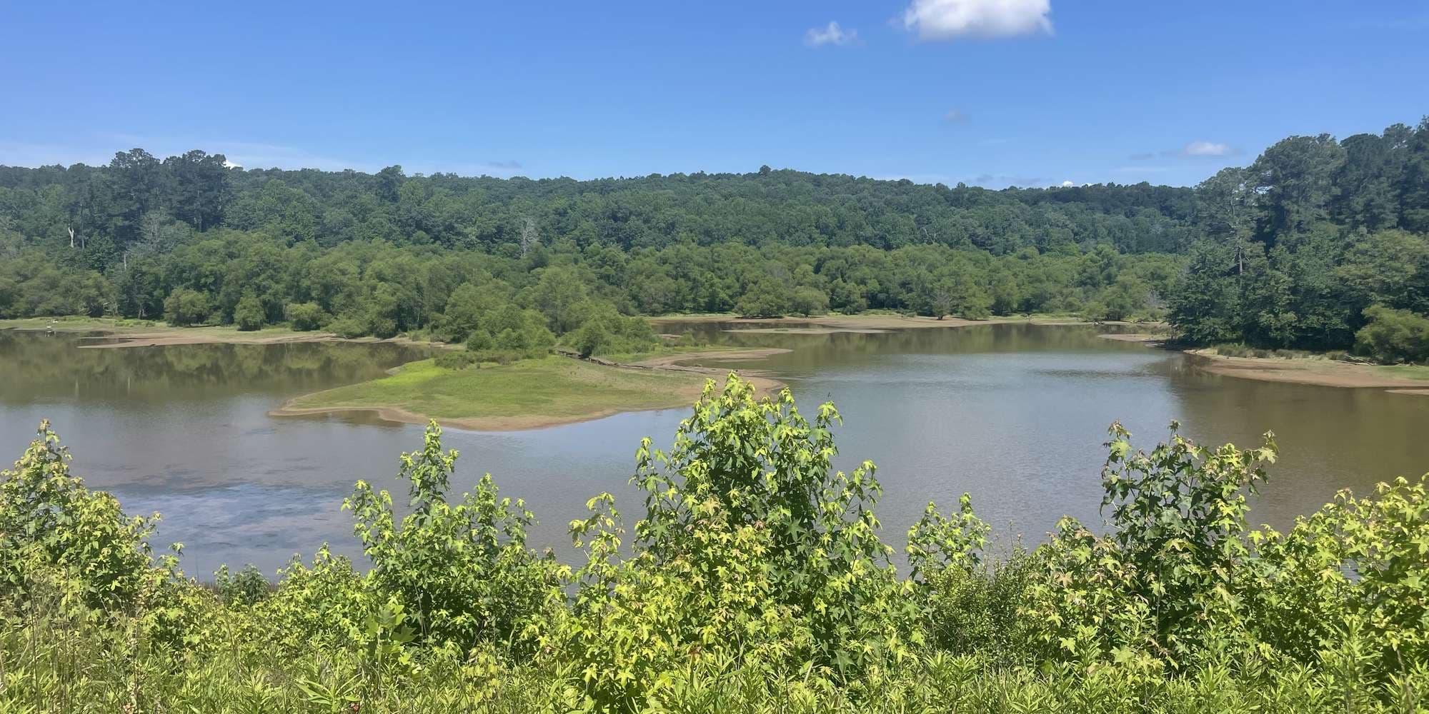 Second image to compare