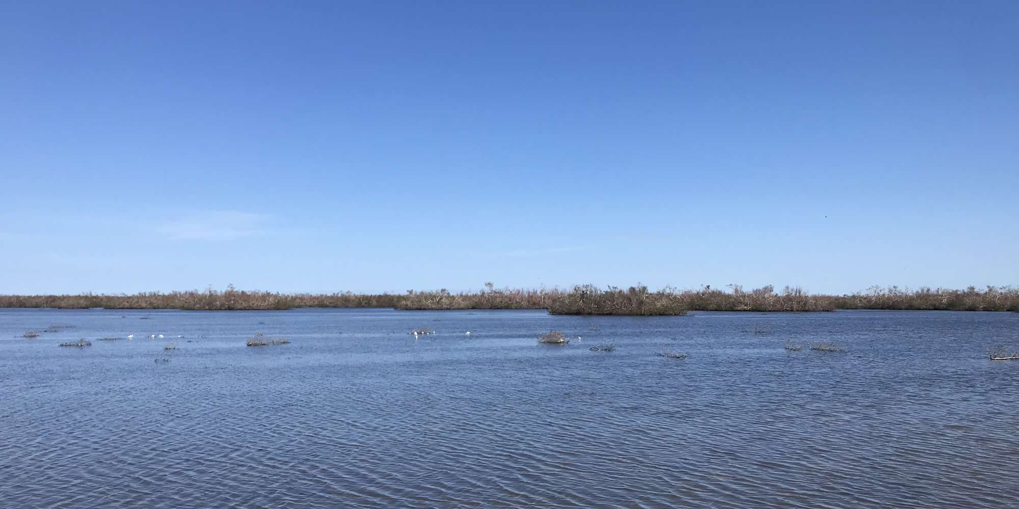 Second image to compare