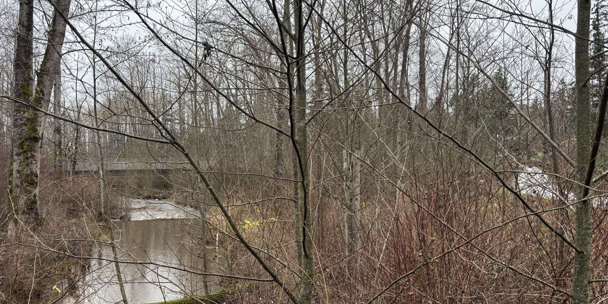 Second image to compare