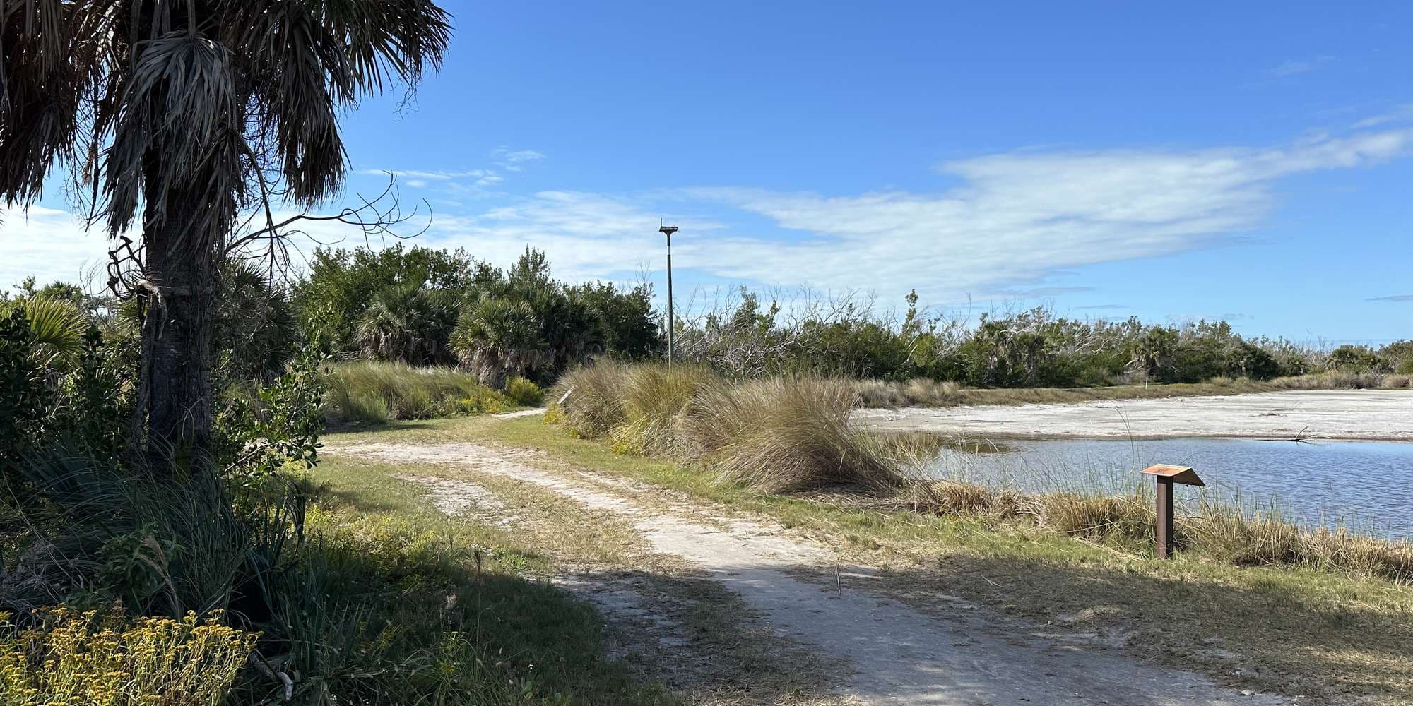 Second image to compare