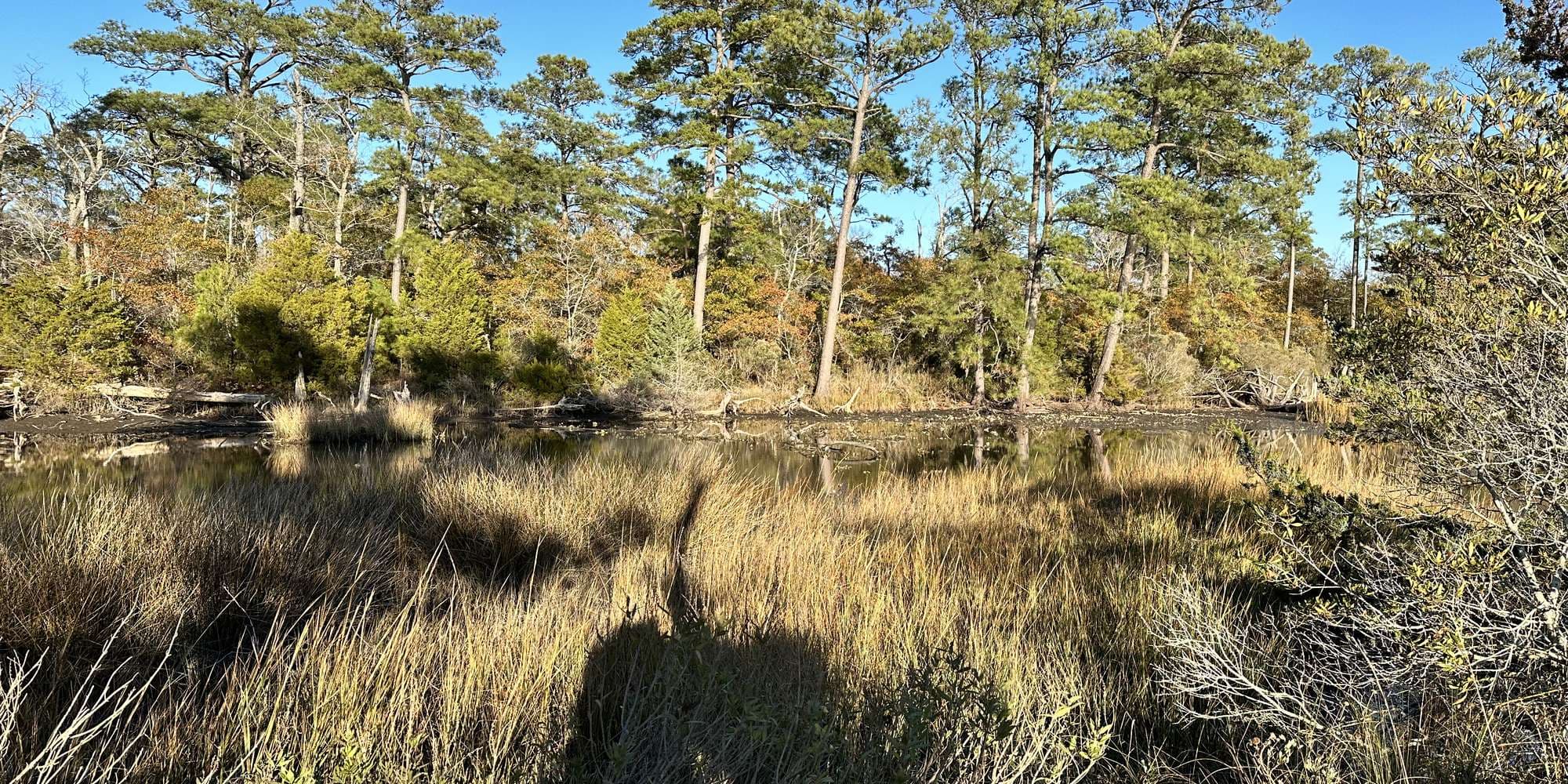 First image to compare