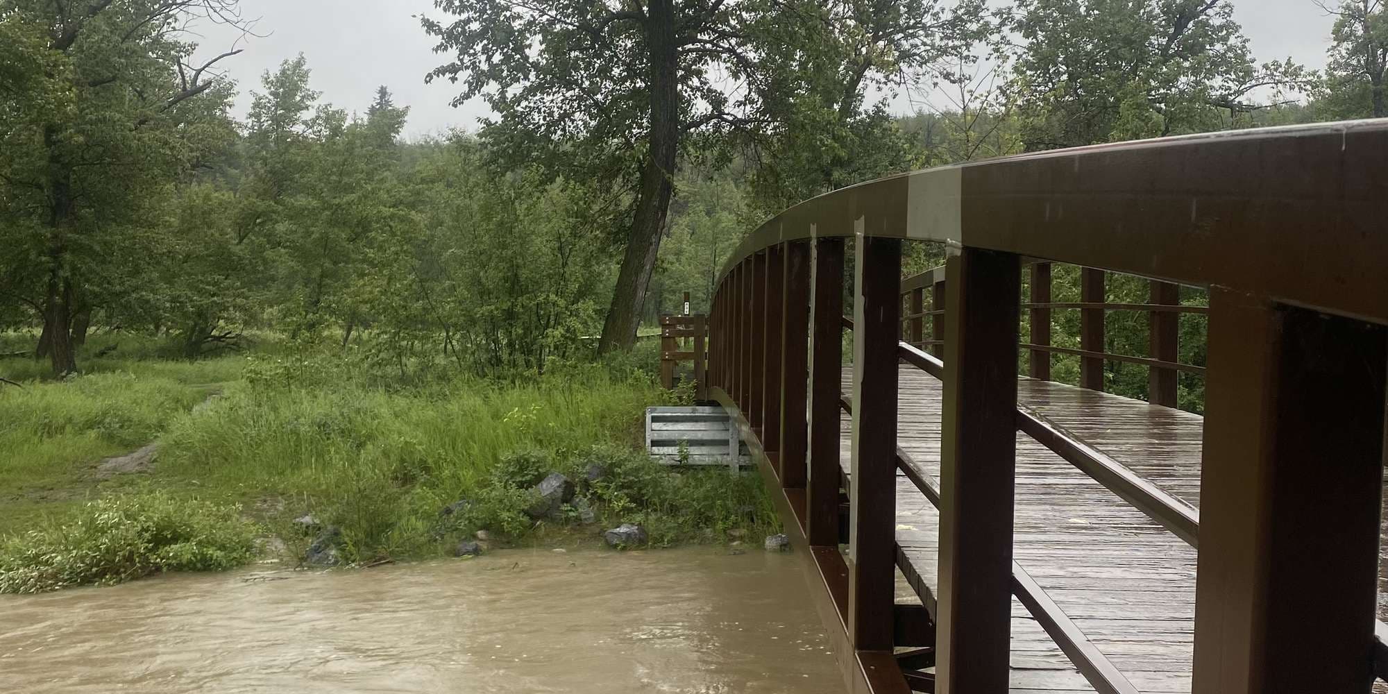 First image to compare