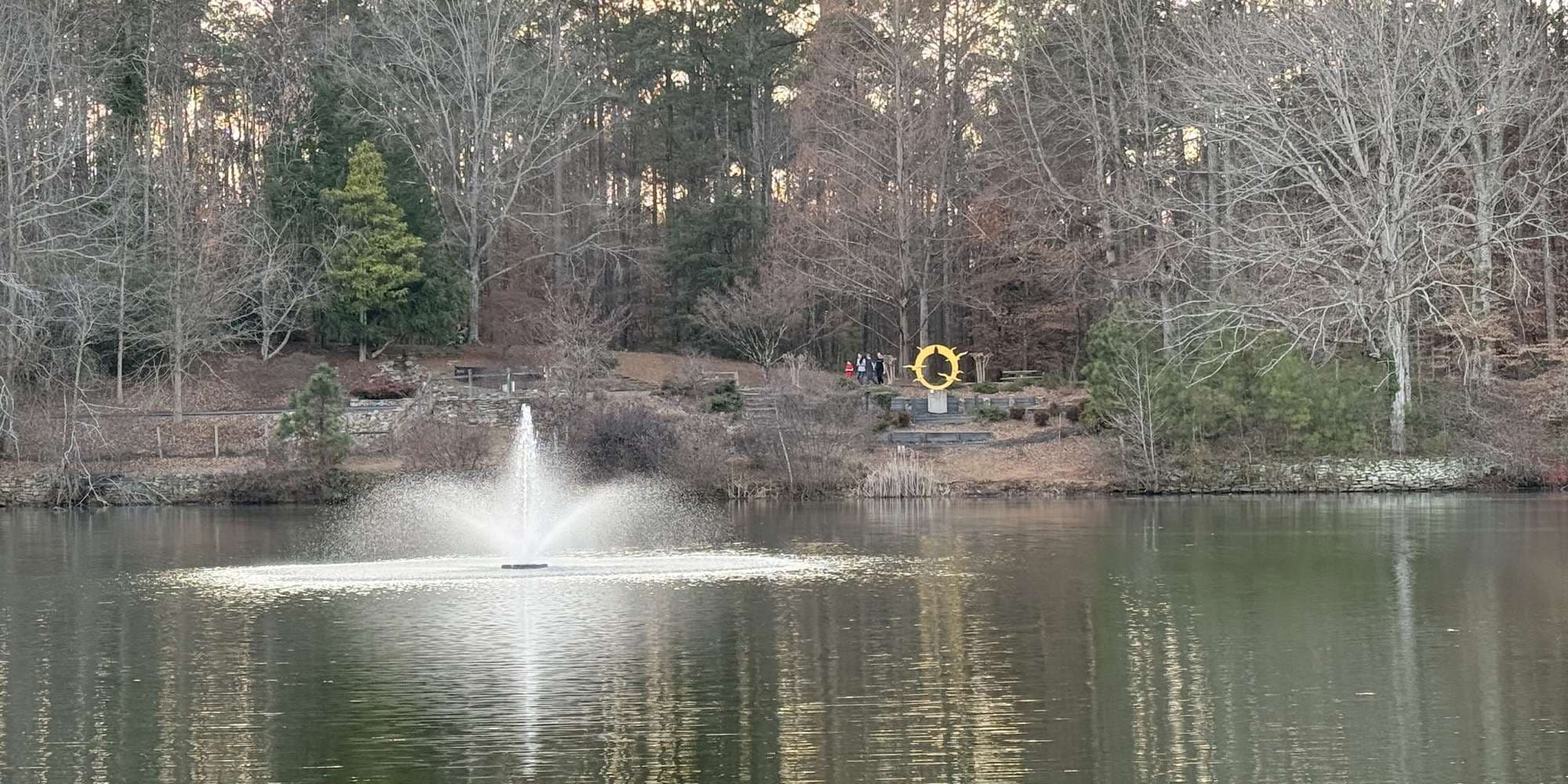 Second image to compare