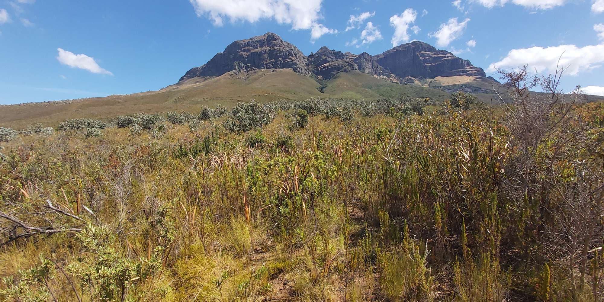 Second image to compare