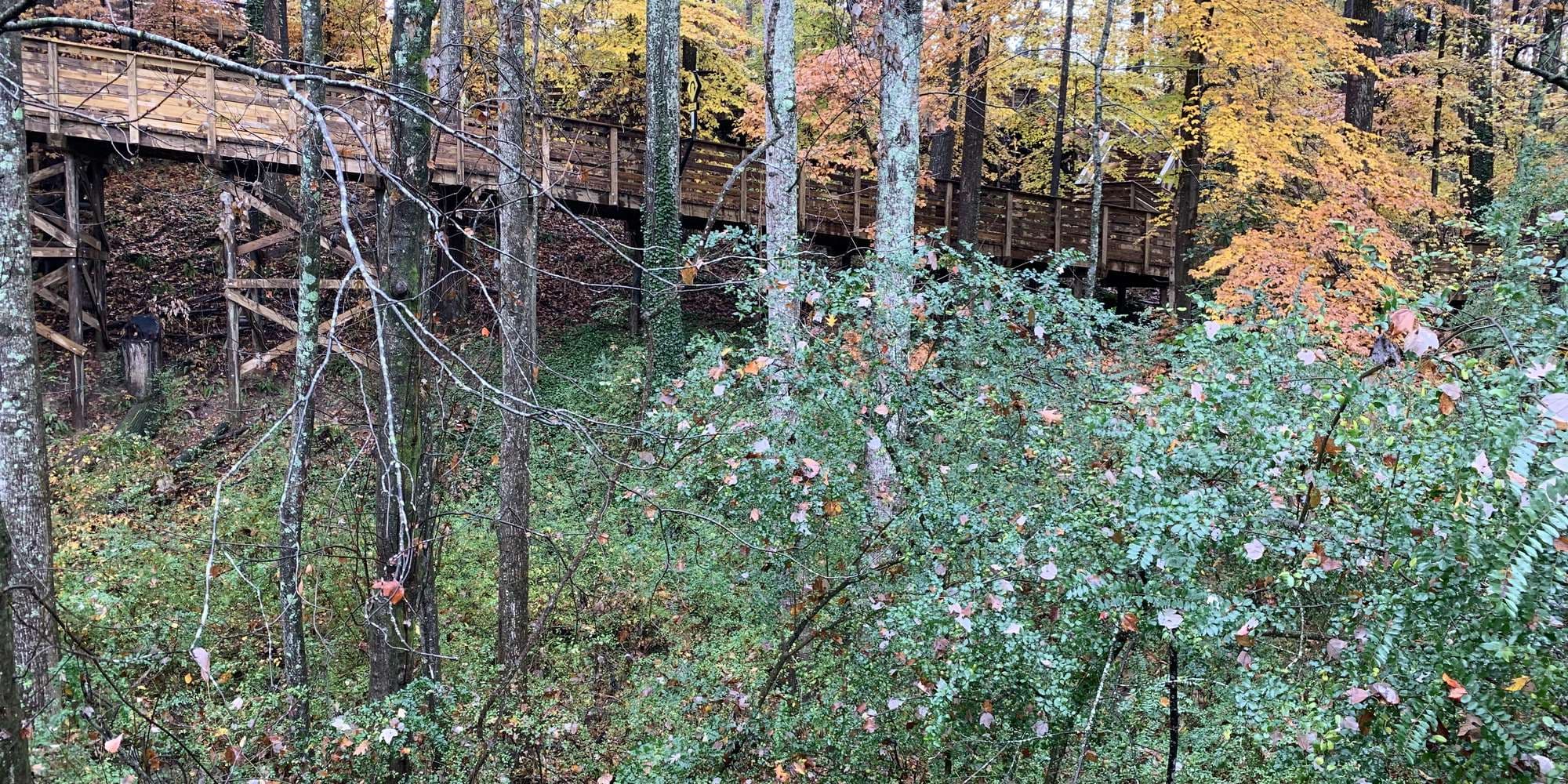 First image to compare