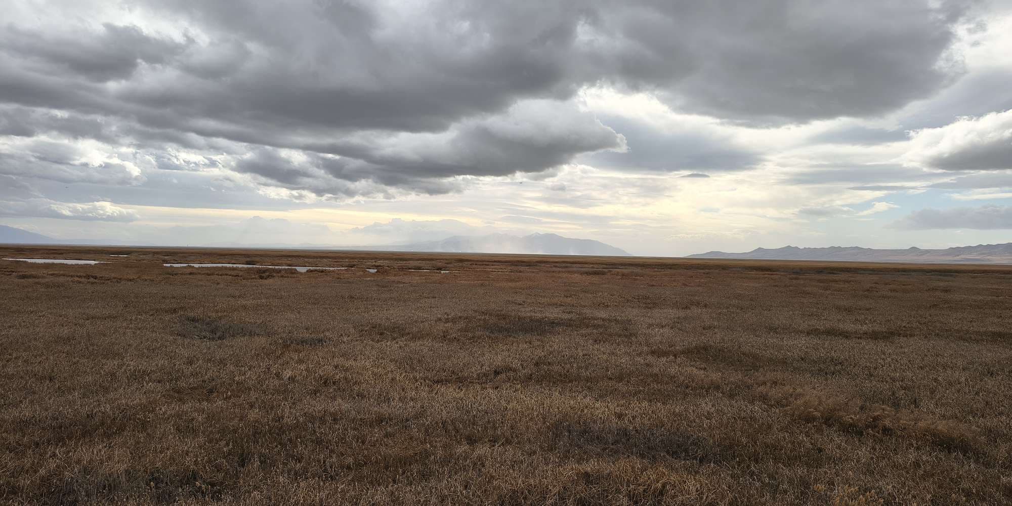 Second image to compare