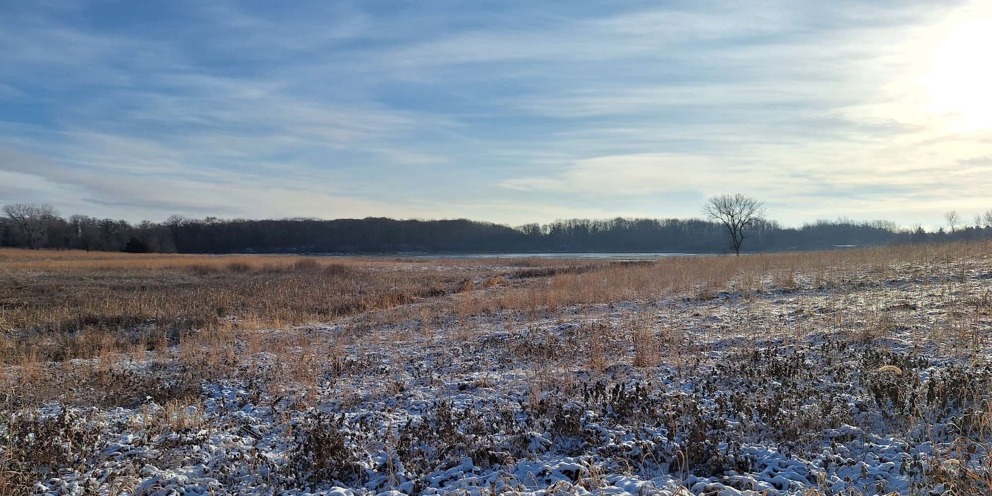 Second image to compare