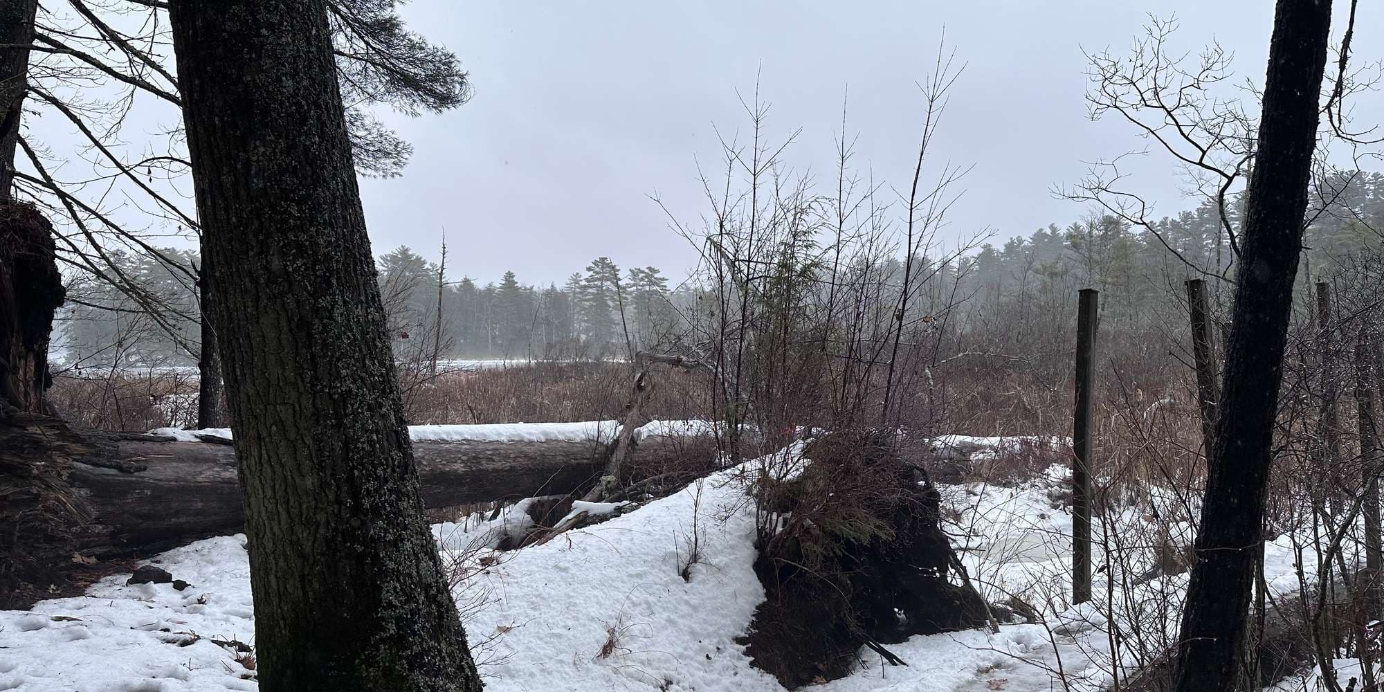 Second image to compare