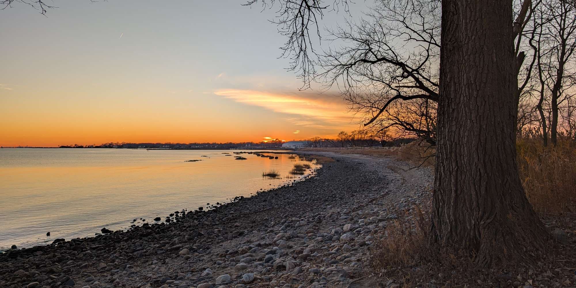 Second image to compare